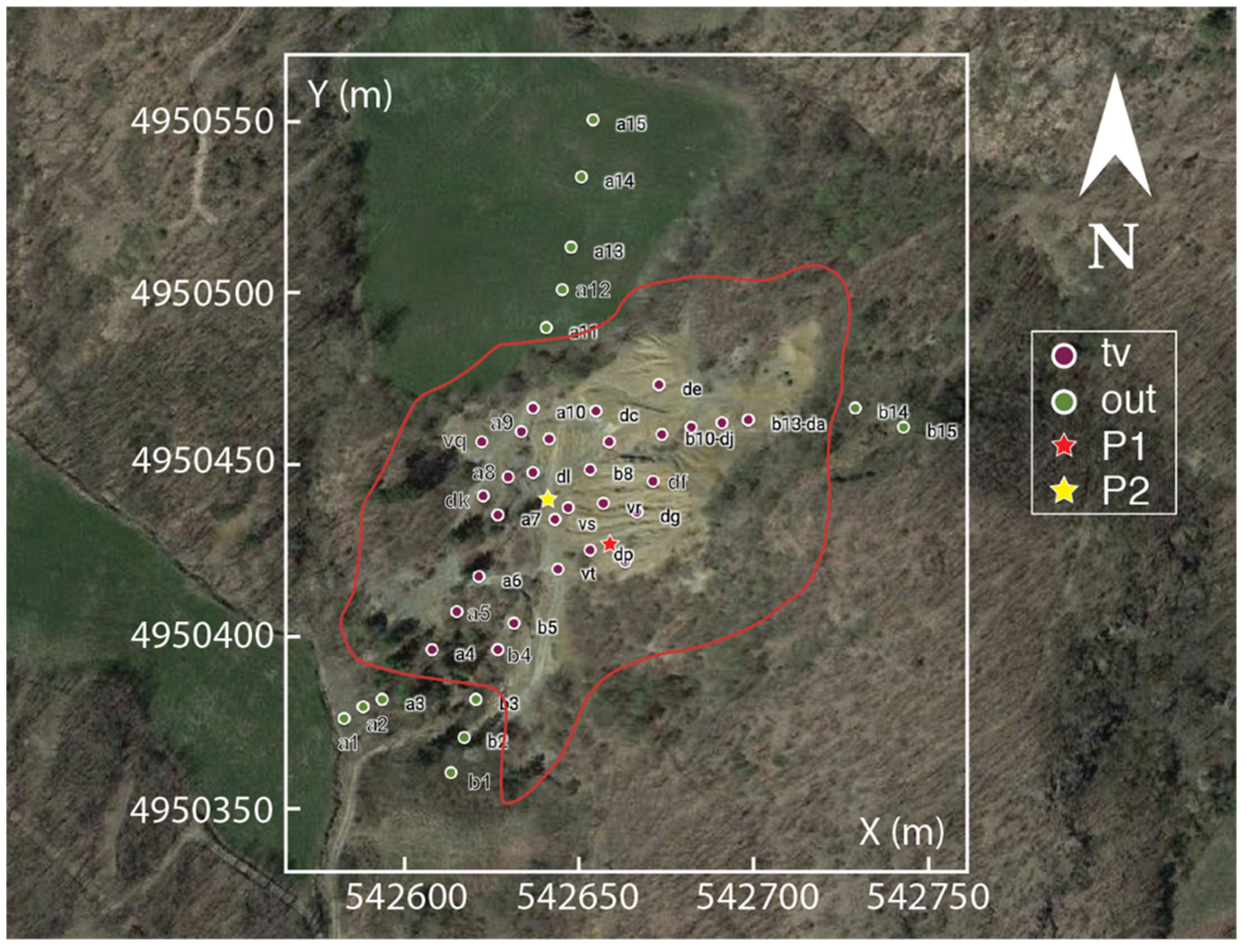 Applsci 12 01928 g003