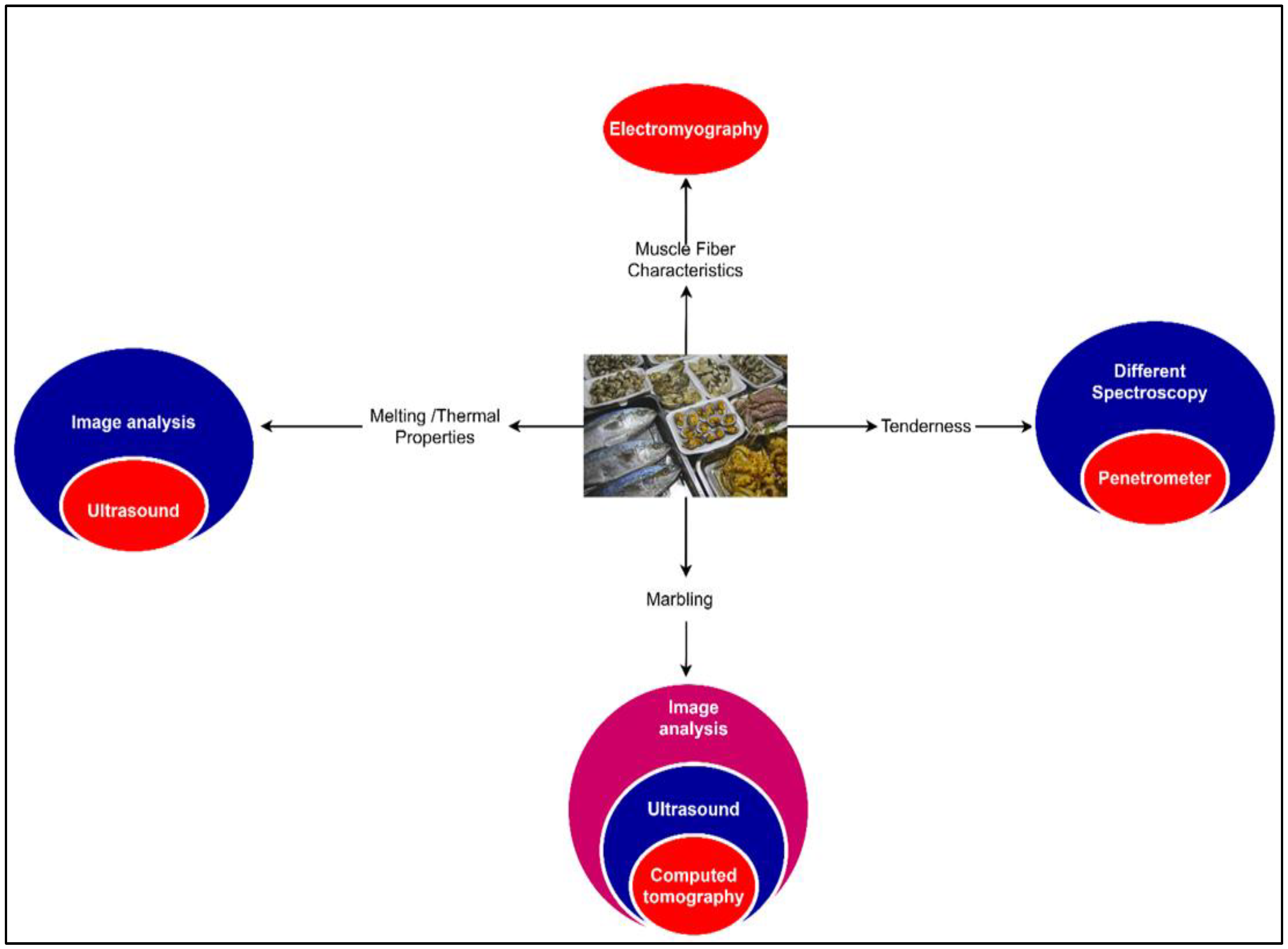 Applsci 12 02004 g004
