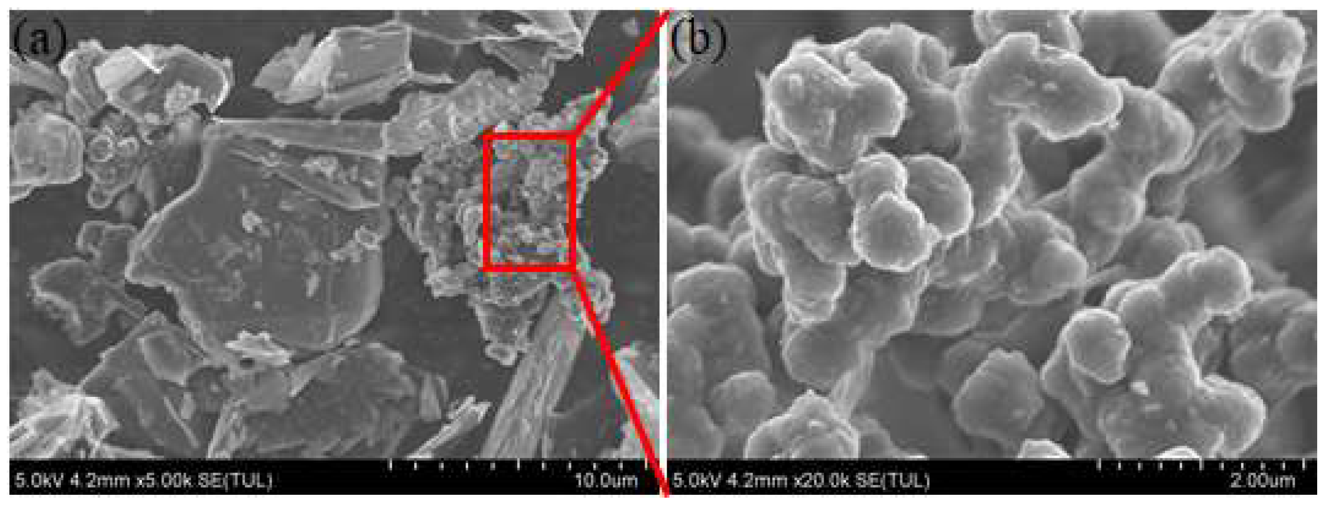 Applsci 12 02021 g001