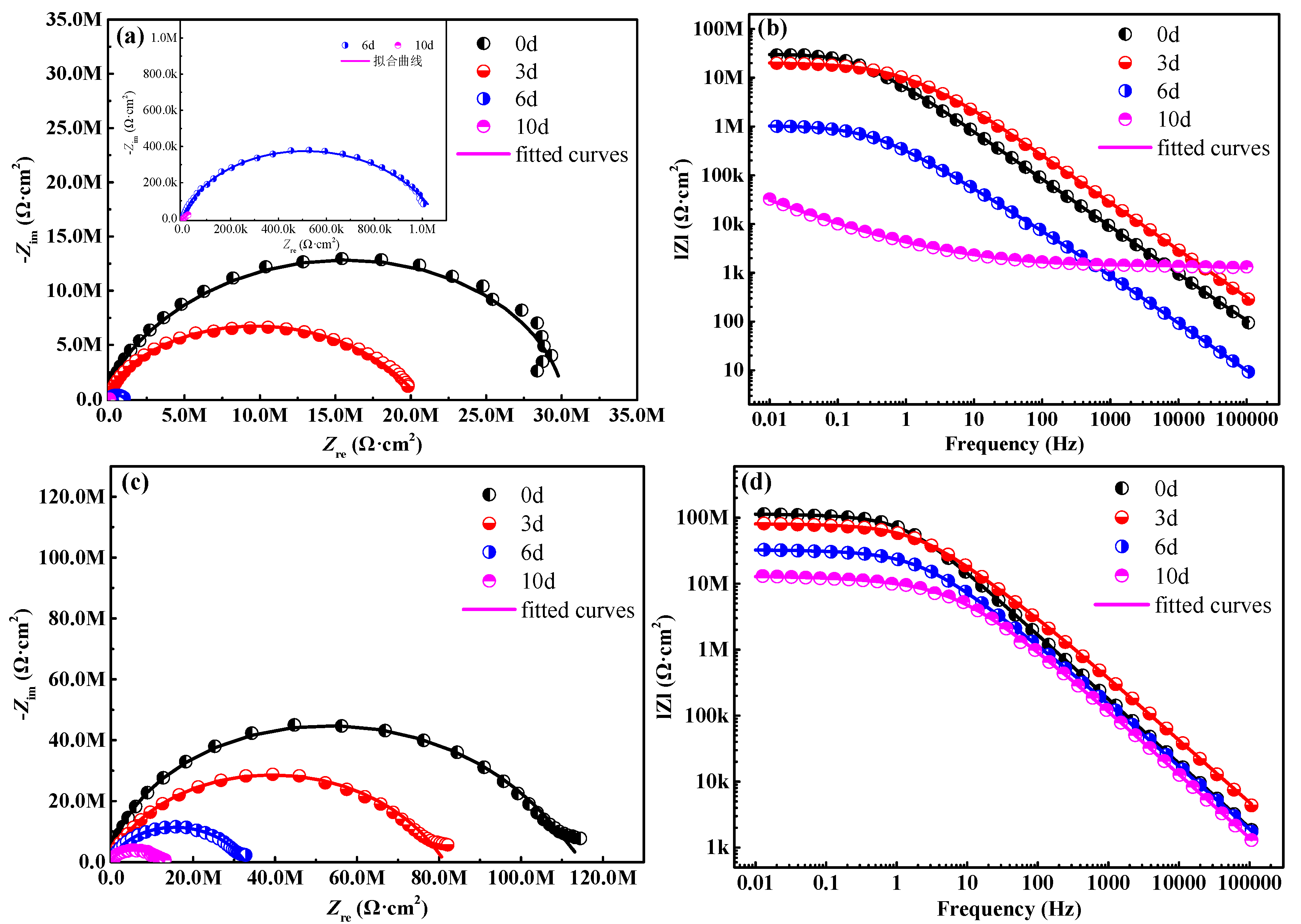 Applsci 12 02021 g005