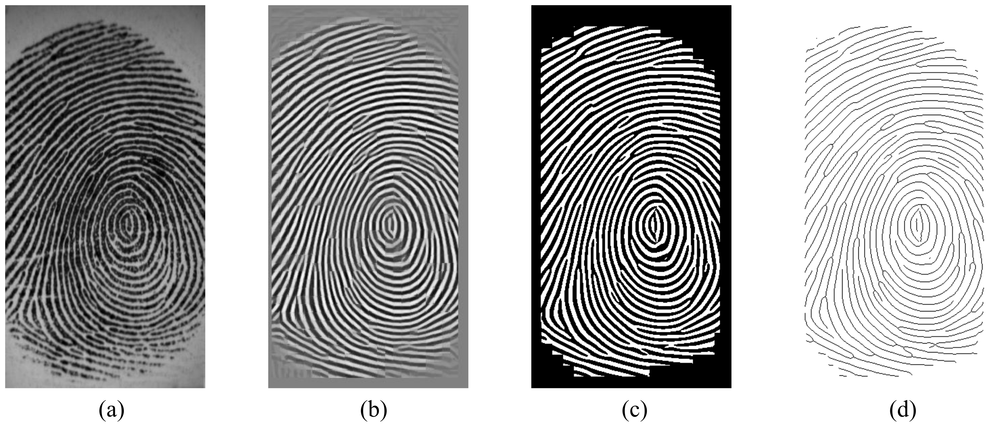 Applsci 12 02028 g006