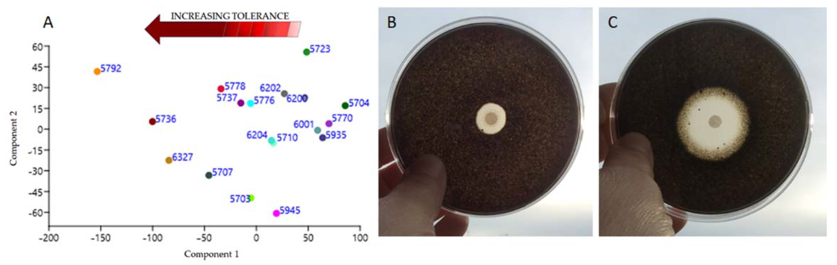Applsci 12 02038 g009