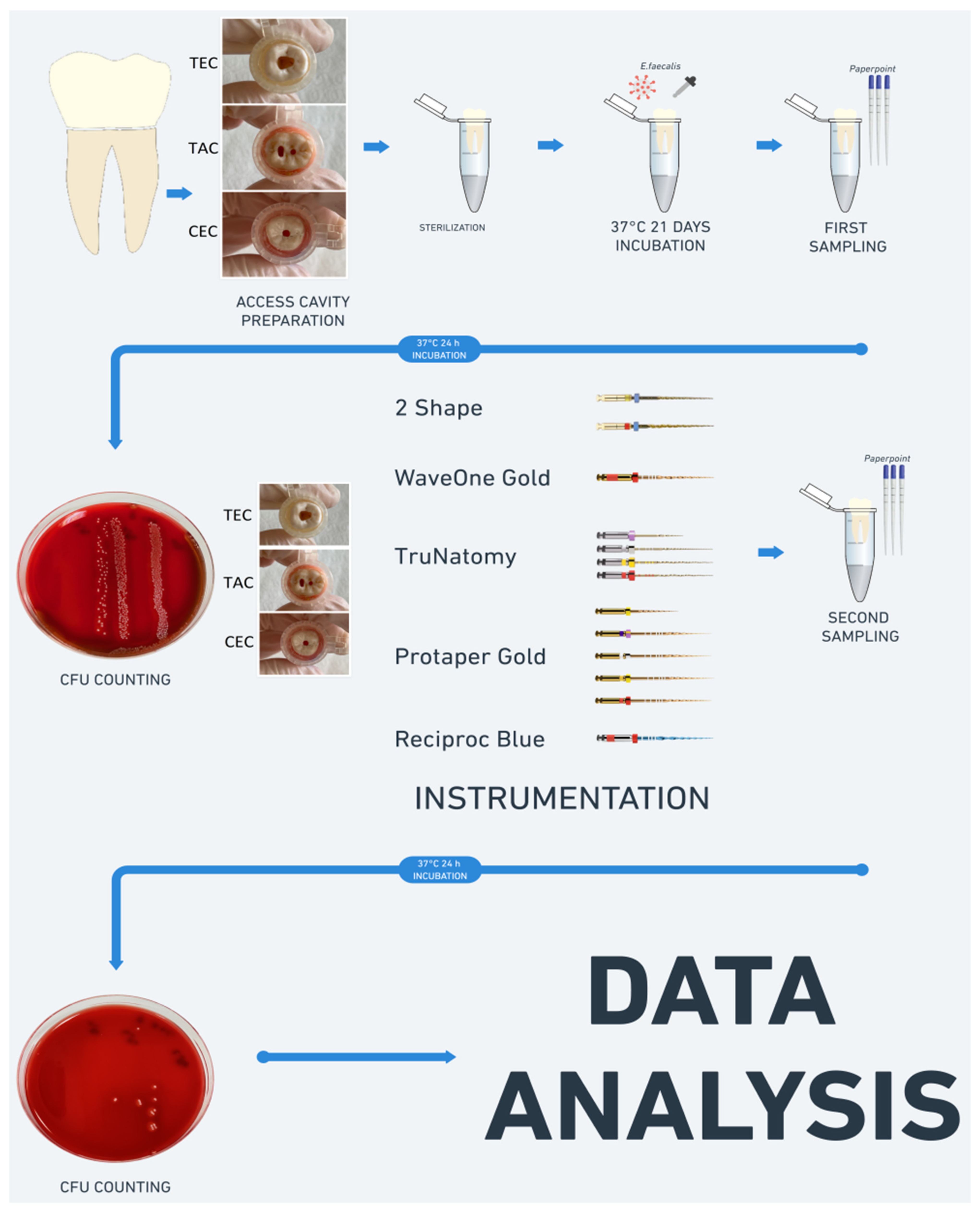 Applsci 12 02049 g001