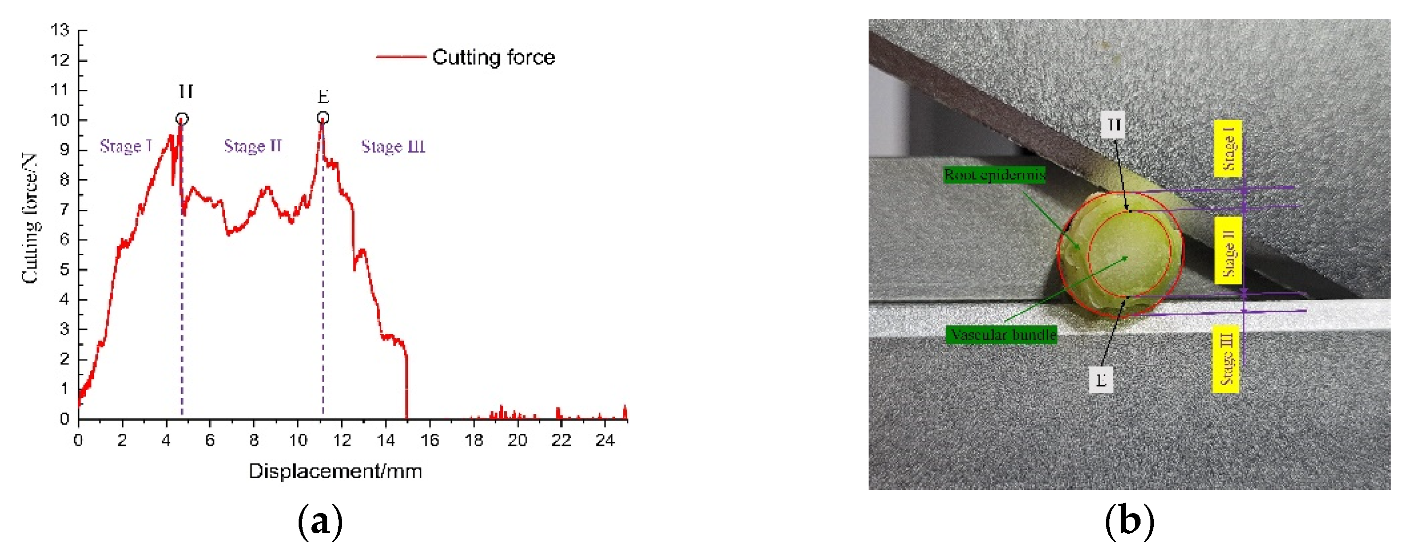 Applsci 12 02060 g004