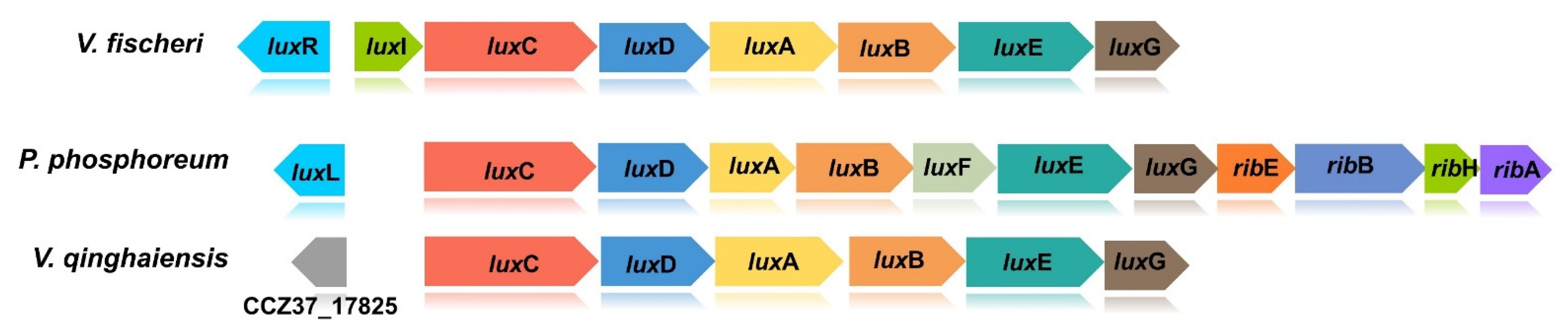 Applsci 12 02066 g001