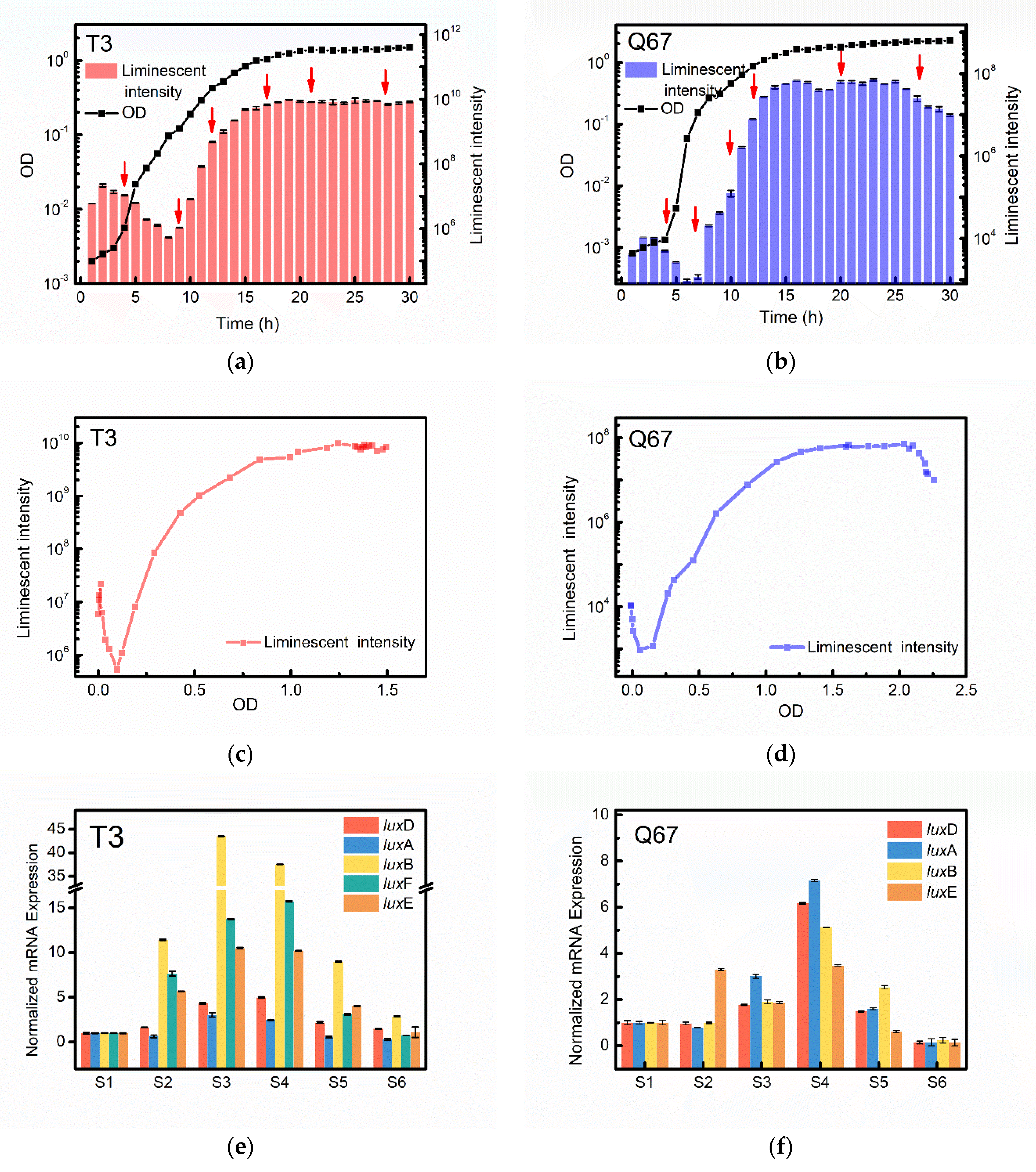 Applsci 12 02066 g002