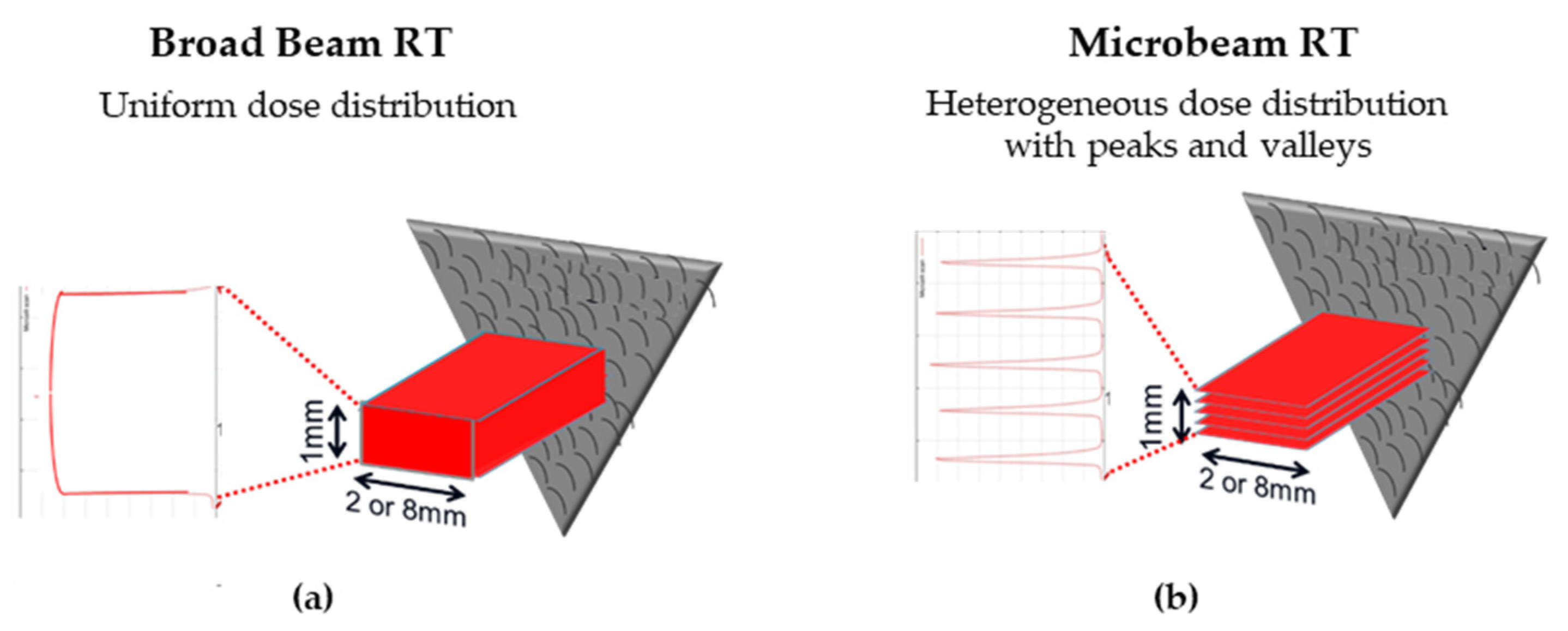 Applsci 12 02079 g001