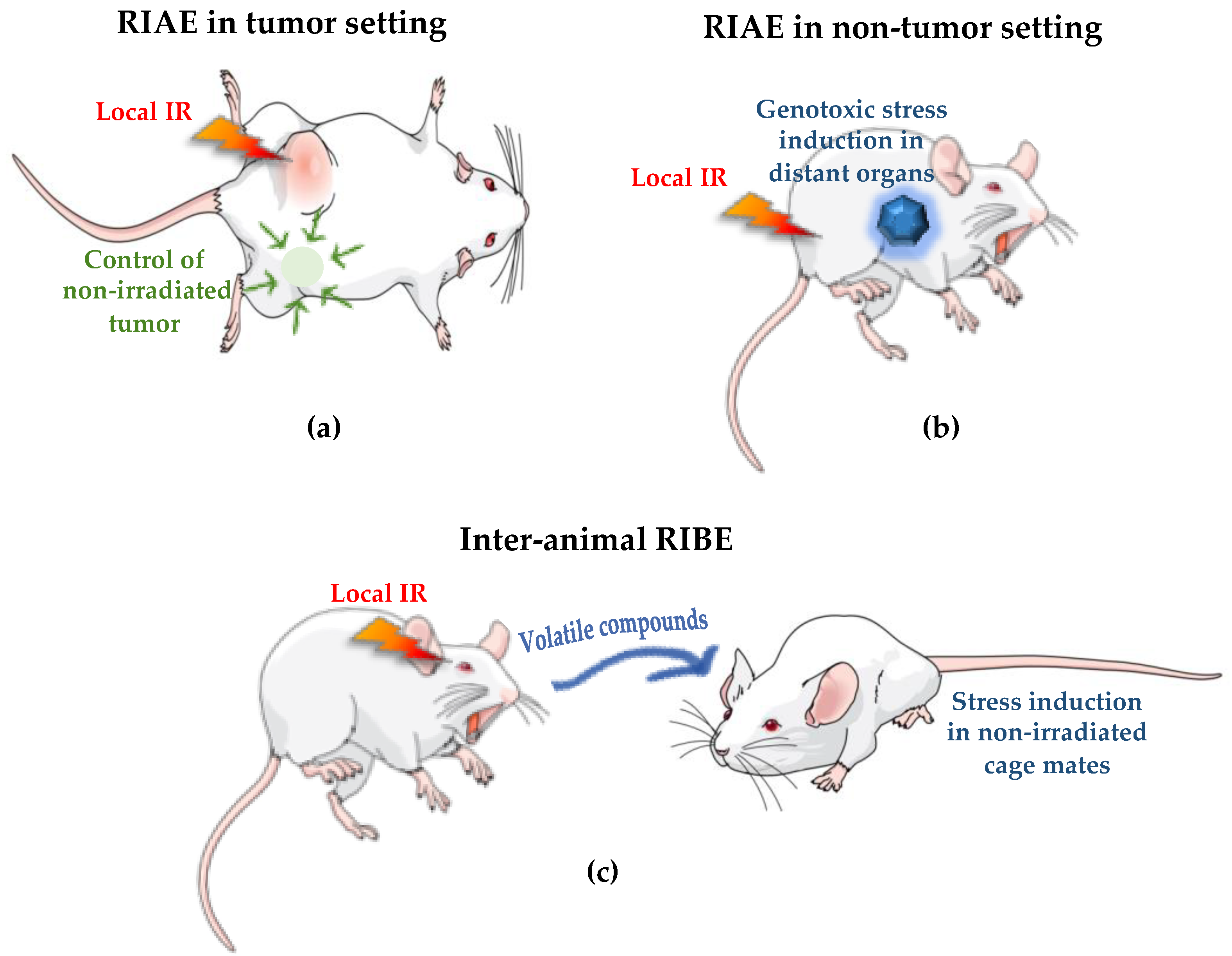 Applsci 12 02079 g004