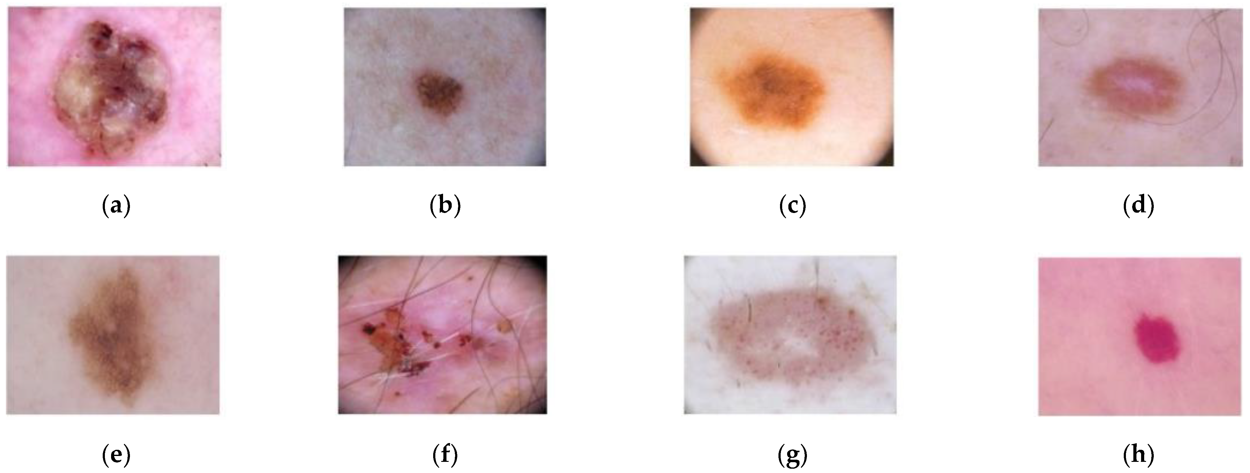 Applsci 12 02092 g005