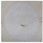 Applsci 12 02093 i004