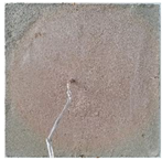 Applsci 12 02093 i014