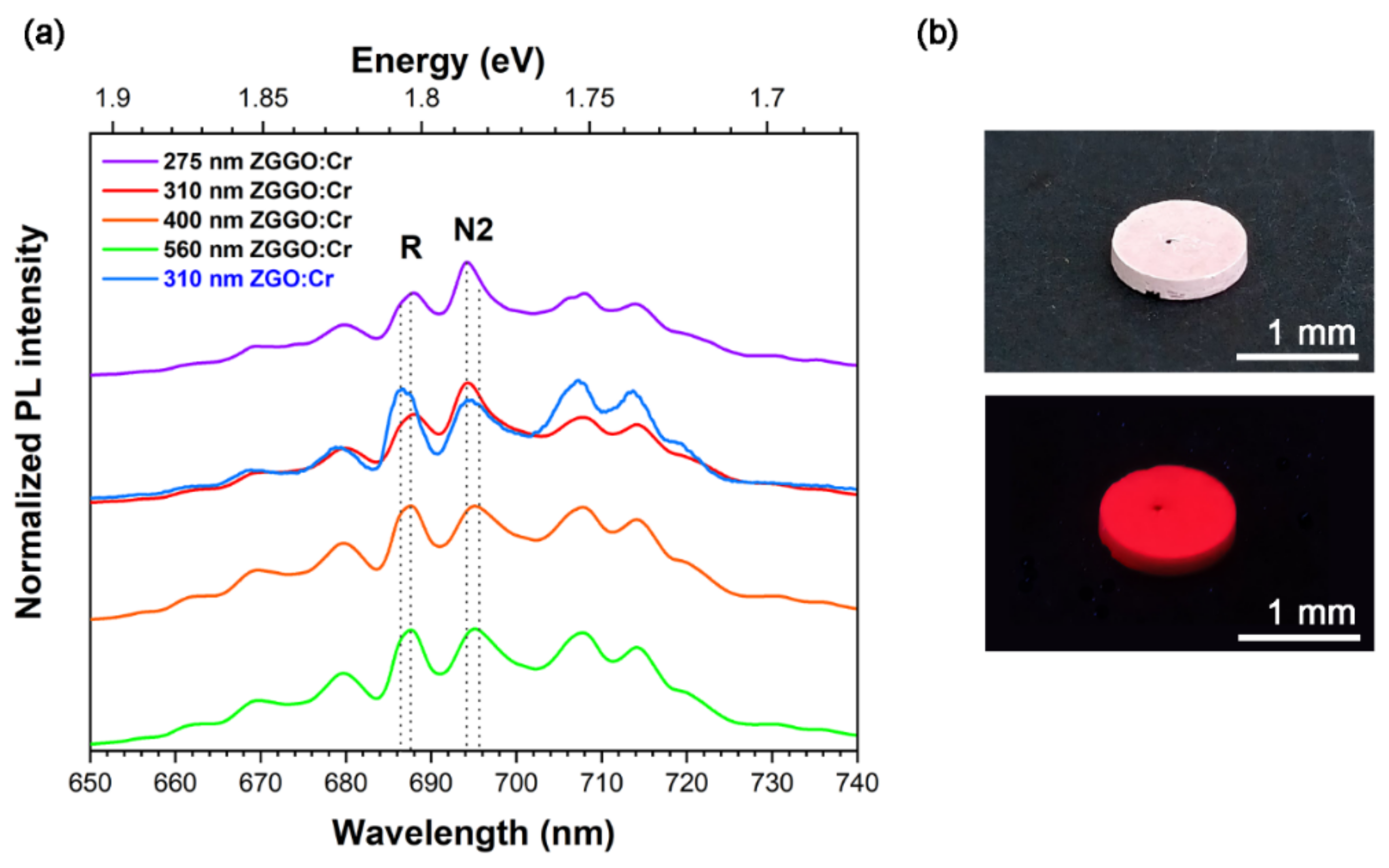 Applsci 12 02104 g005 Applsci 12 02104 g005
