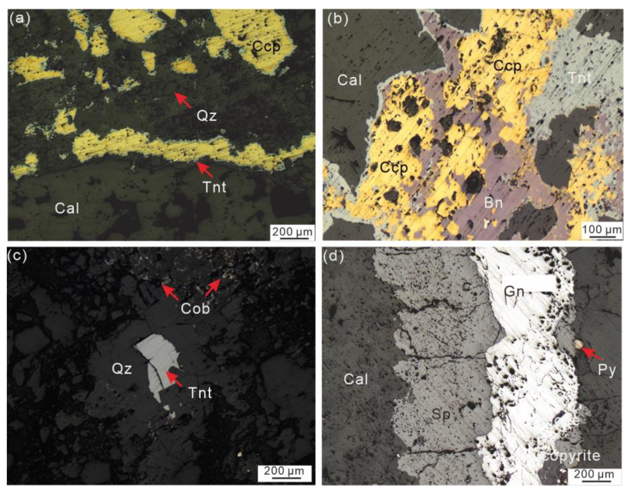 Applsci 12 02129 g003