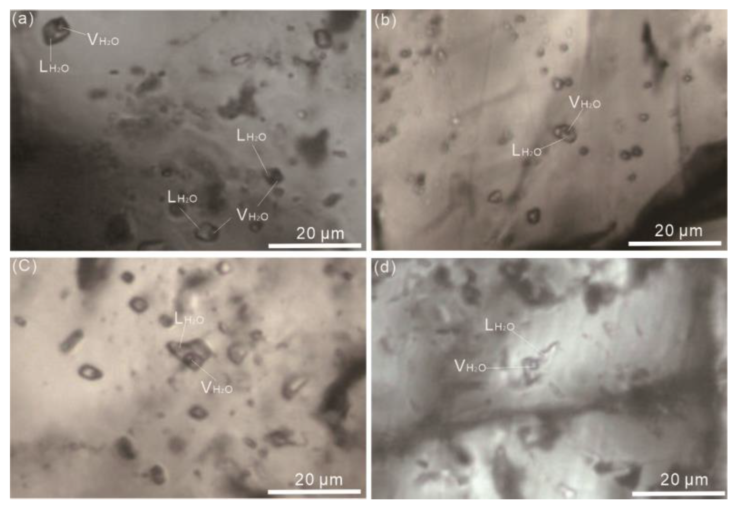 Applsci 12 02129 g004