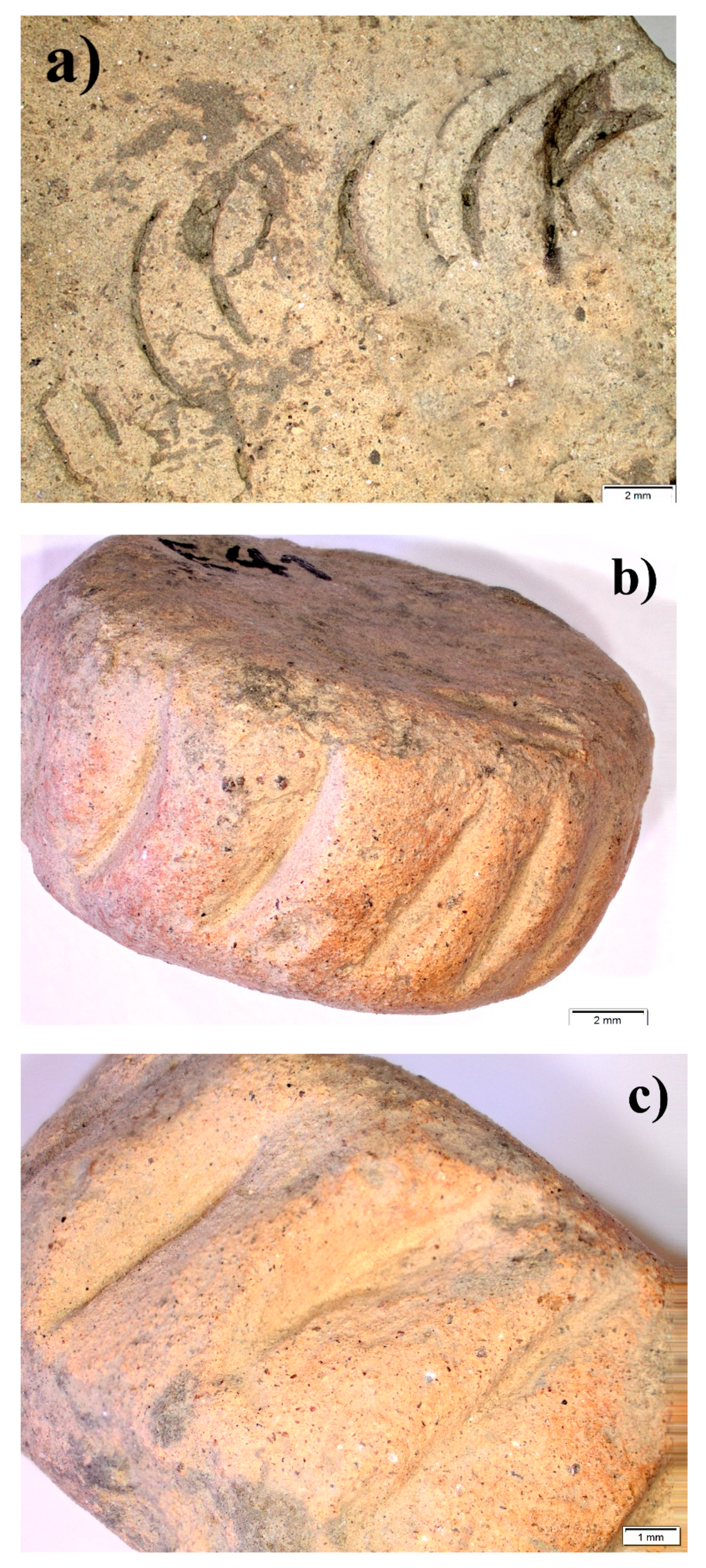 Applsci 12 02130 g003