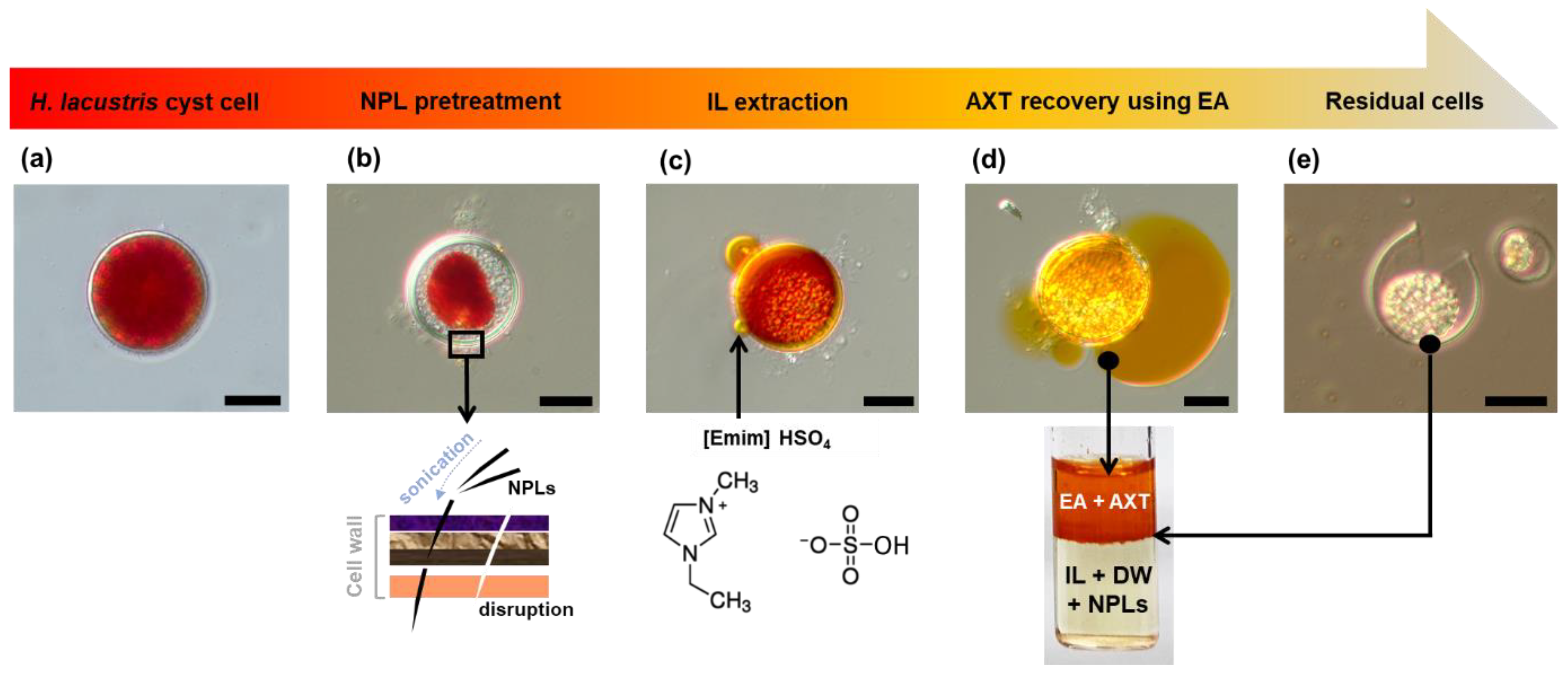 Applsci 12 02210 g003
