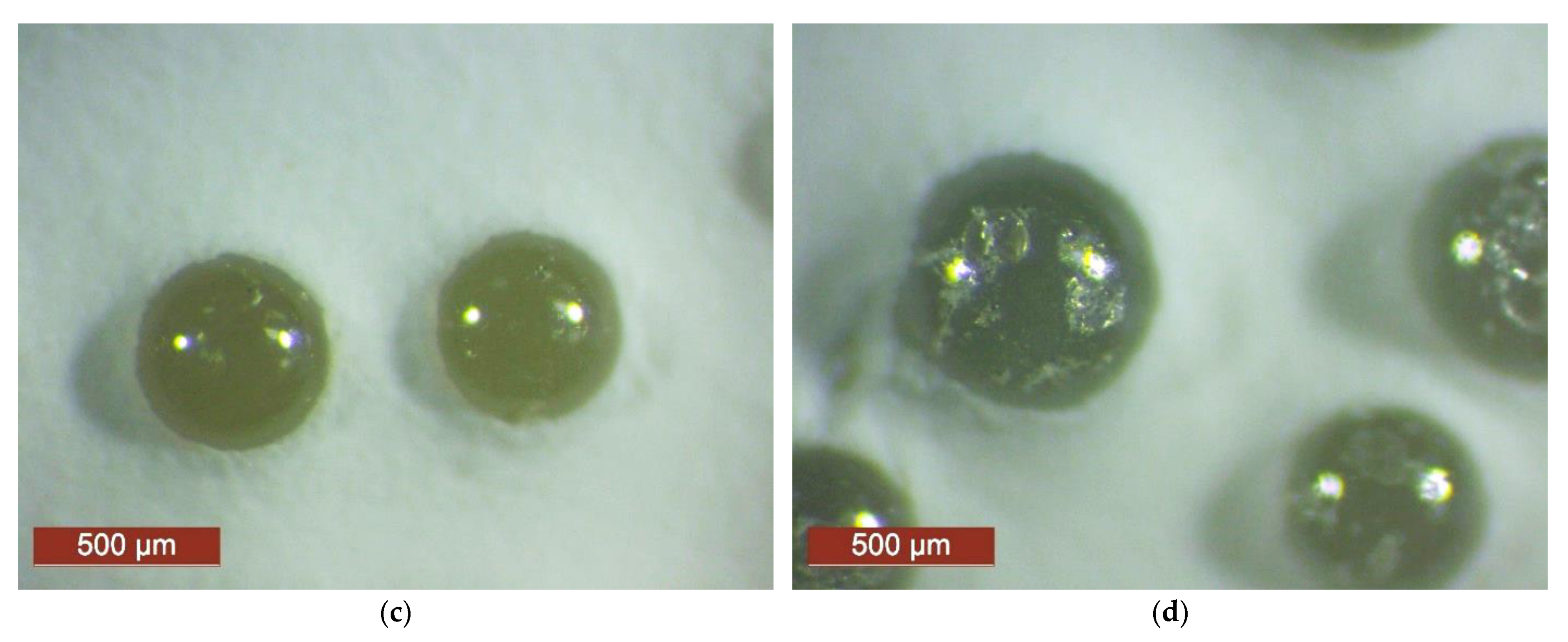 Applsci 12 02258 g006b Applsci 12 02258 g006b