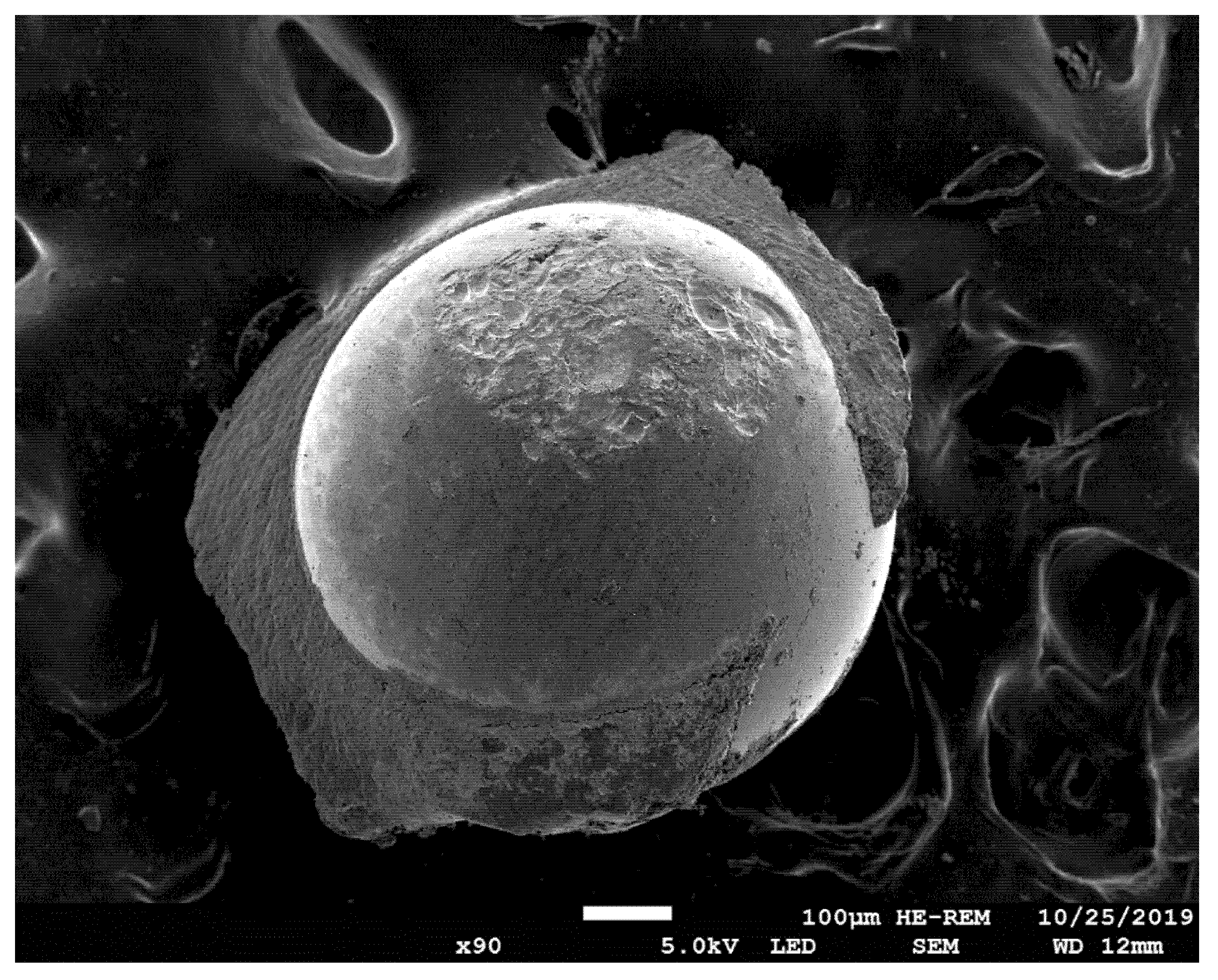 Applsci 12 02258 g009 Applsci 12 02258 g009