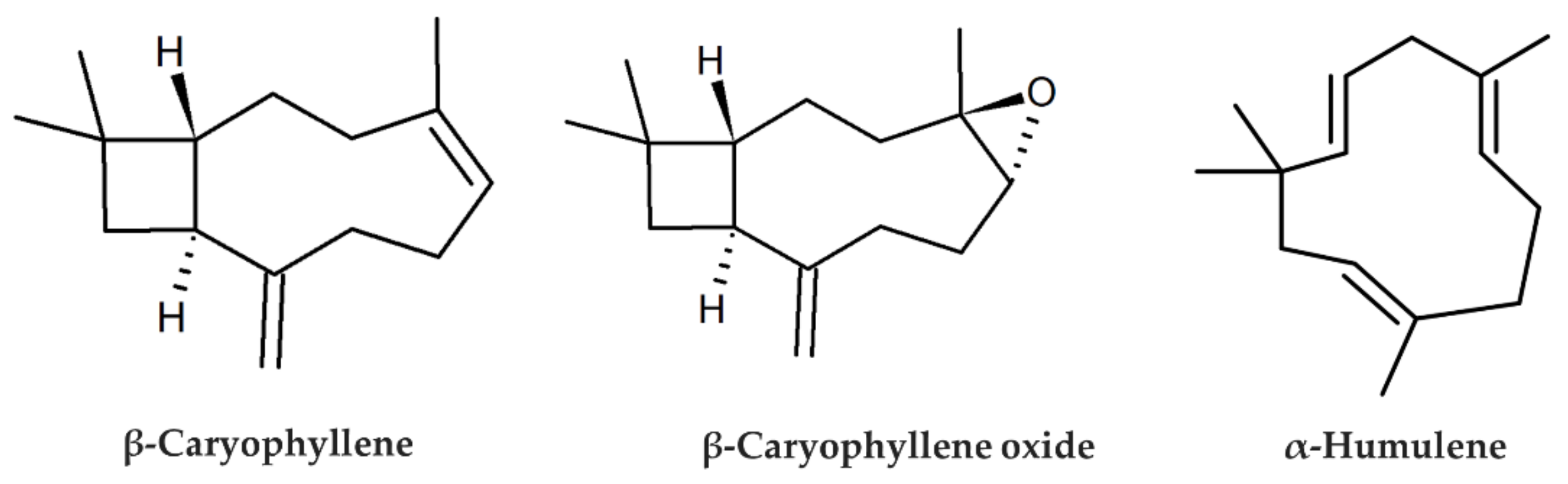 Applsci 12 02292 g002