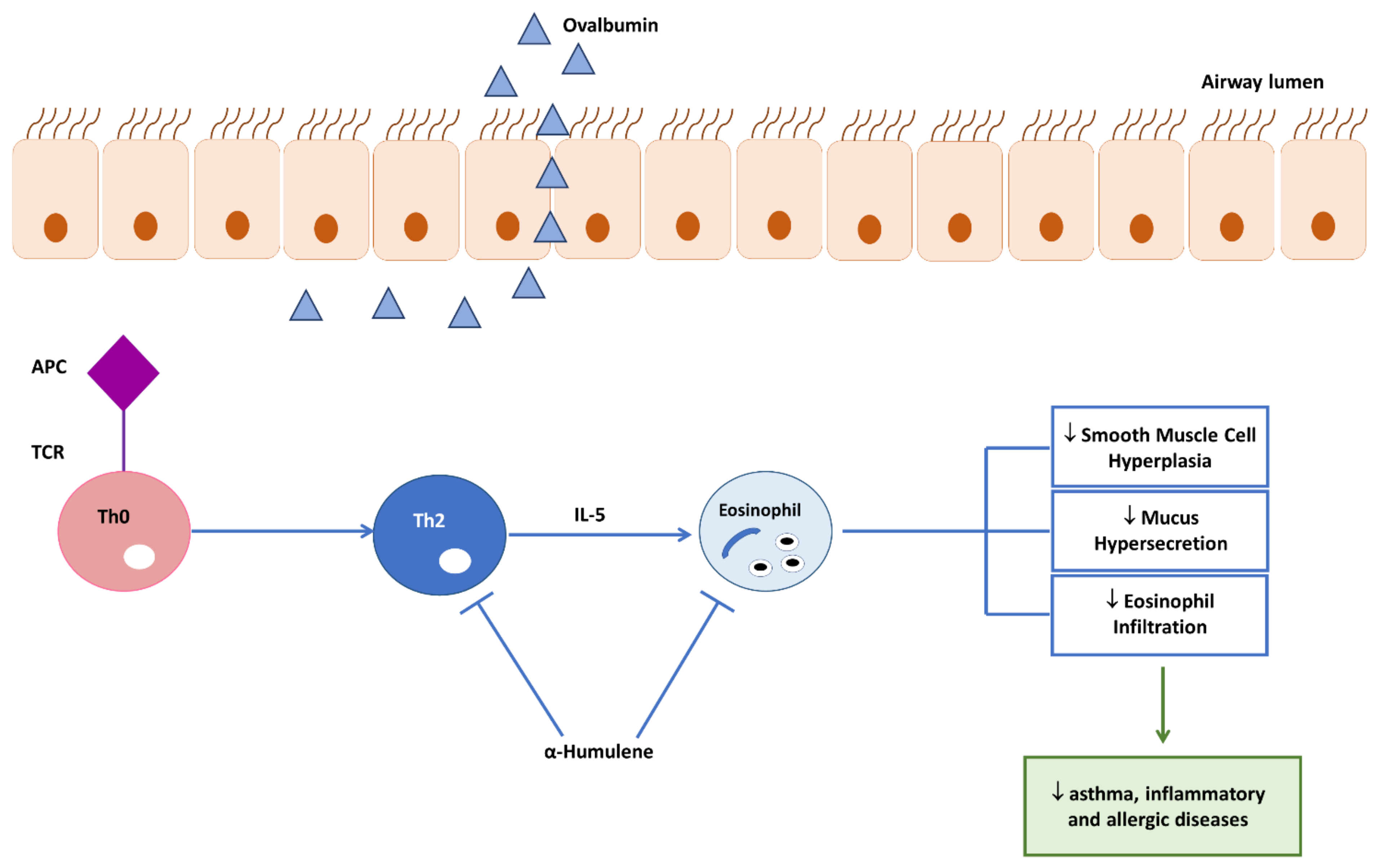 Applsci 12 02292 g003