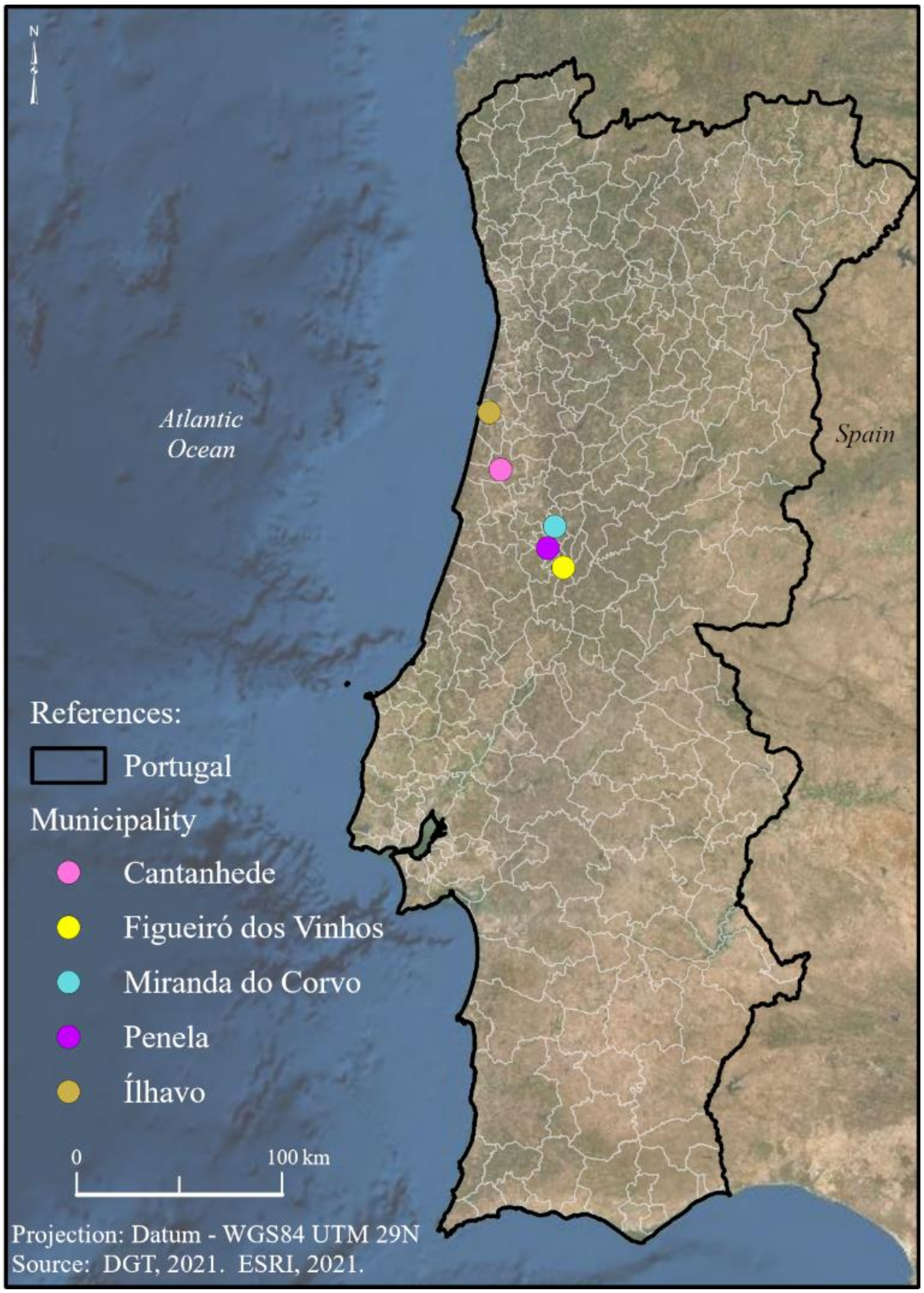 Applsci 12 02294 g001