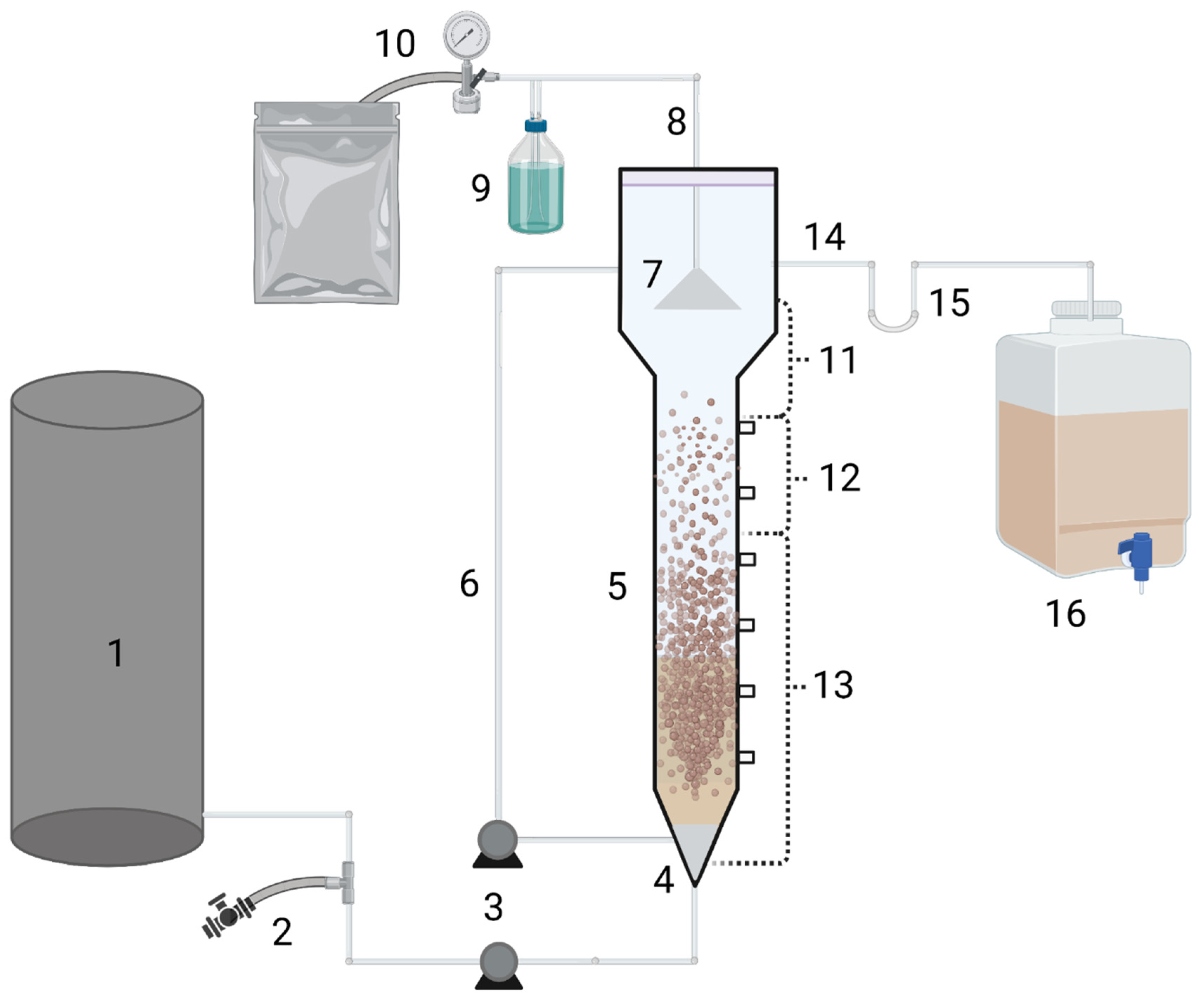 Applsci 12 02295 g001
