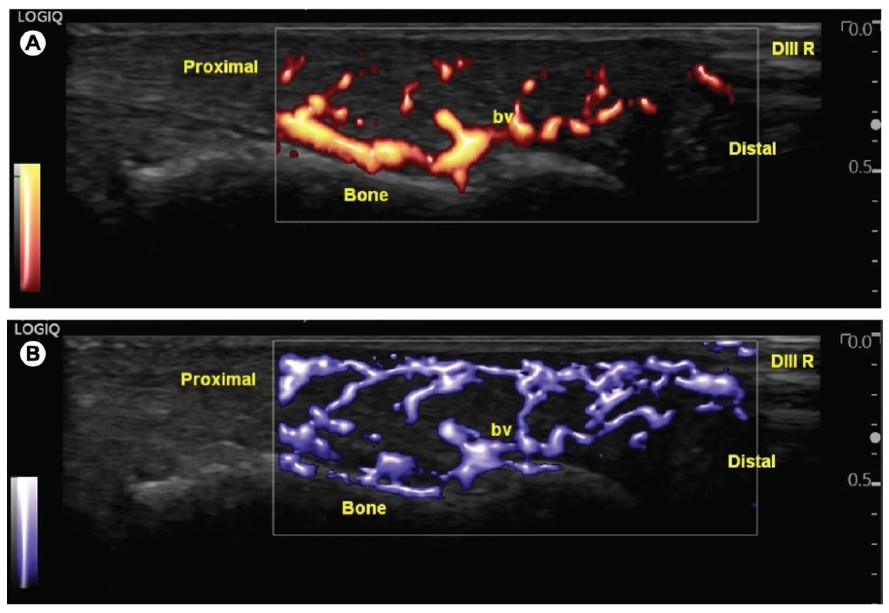 Applsci 12 02306 g002