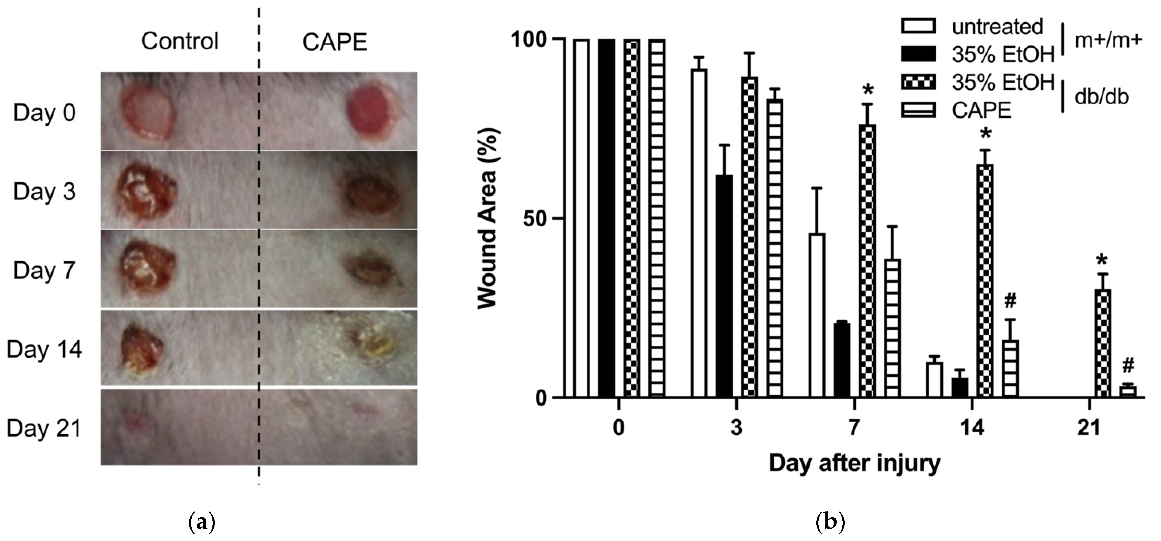 Applsci 12 02320 g004
