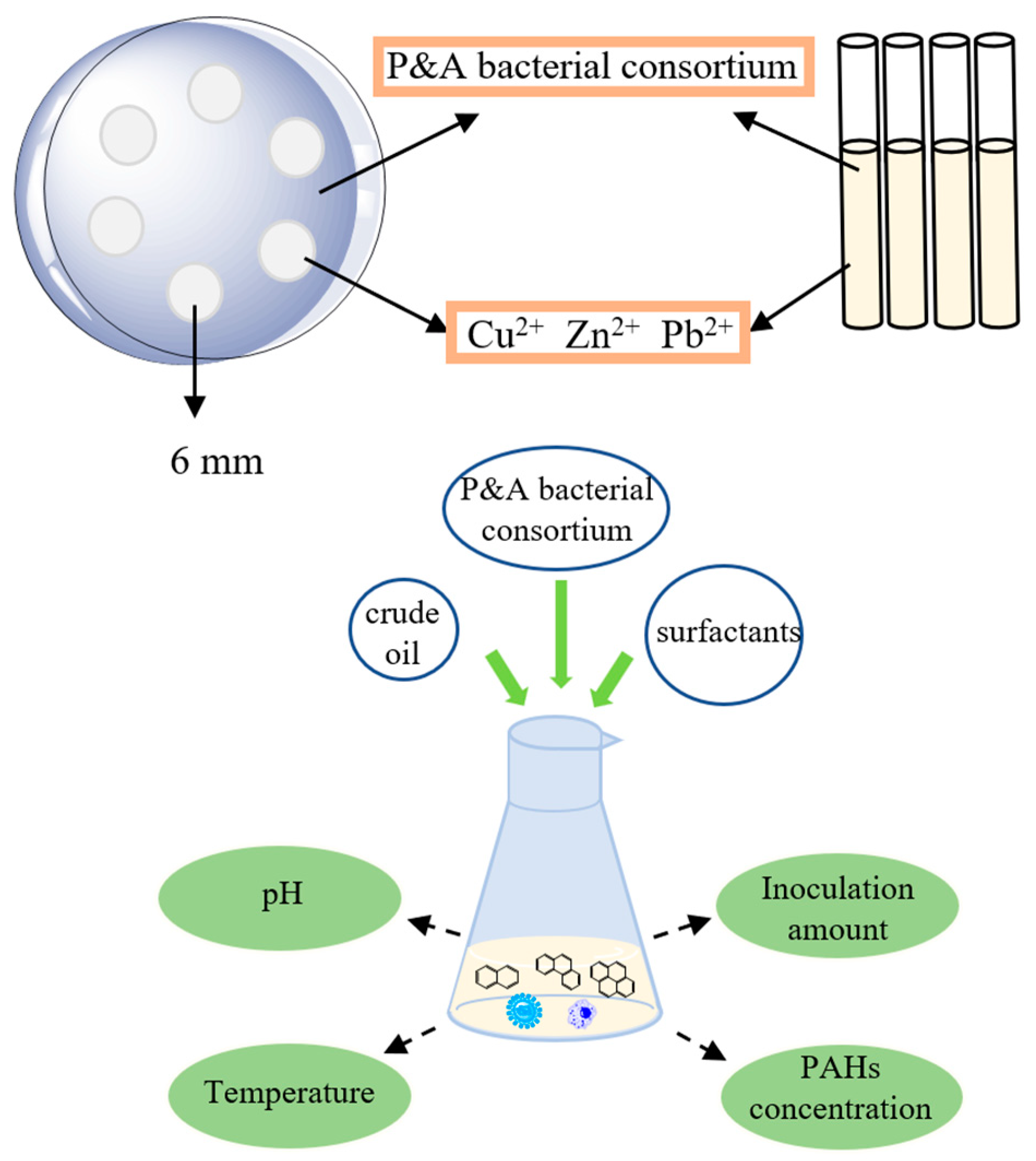 Applsci 12 02354 g001