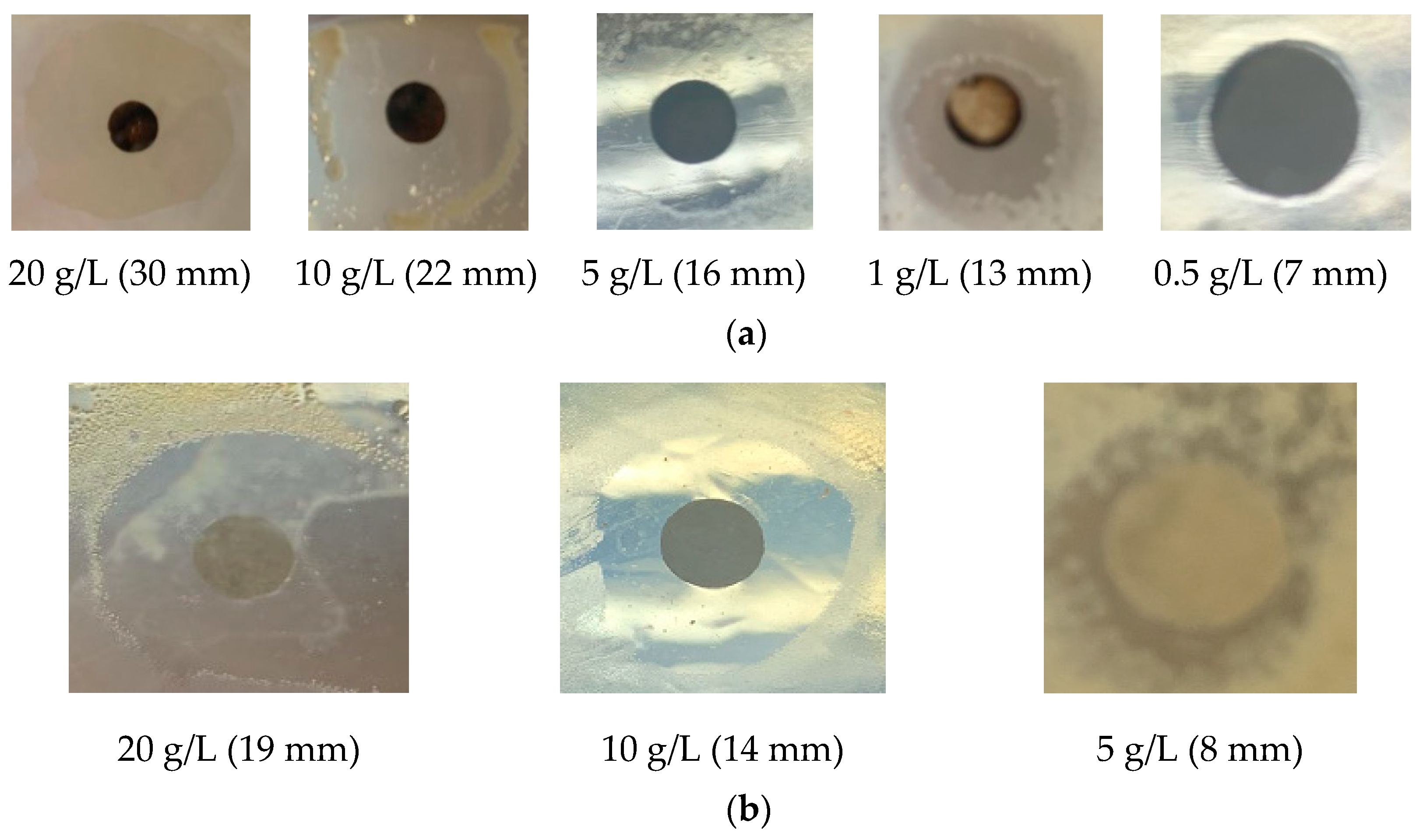 Applsci 12 02354 g007a