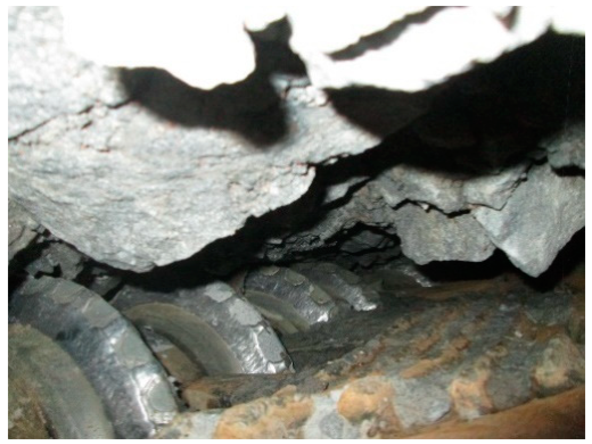 Applsci 12 02410 g006