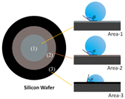 Applsci 12 02427 i002