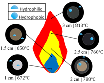 Applsci 12 02427 i004