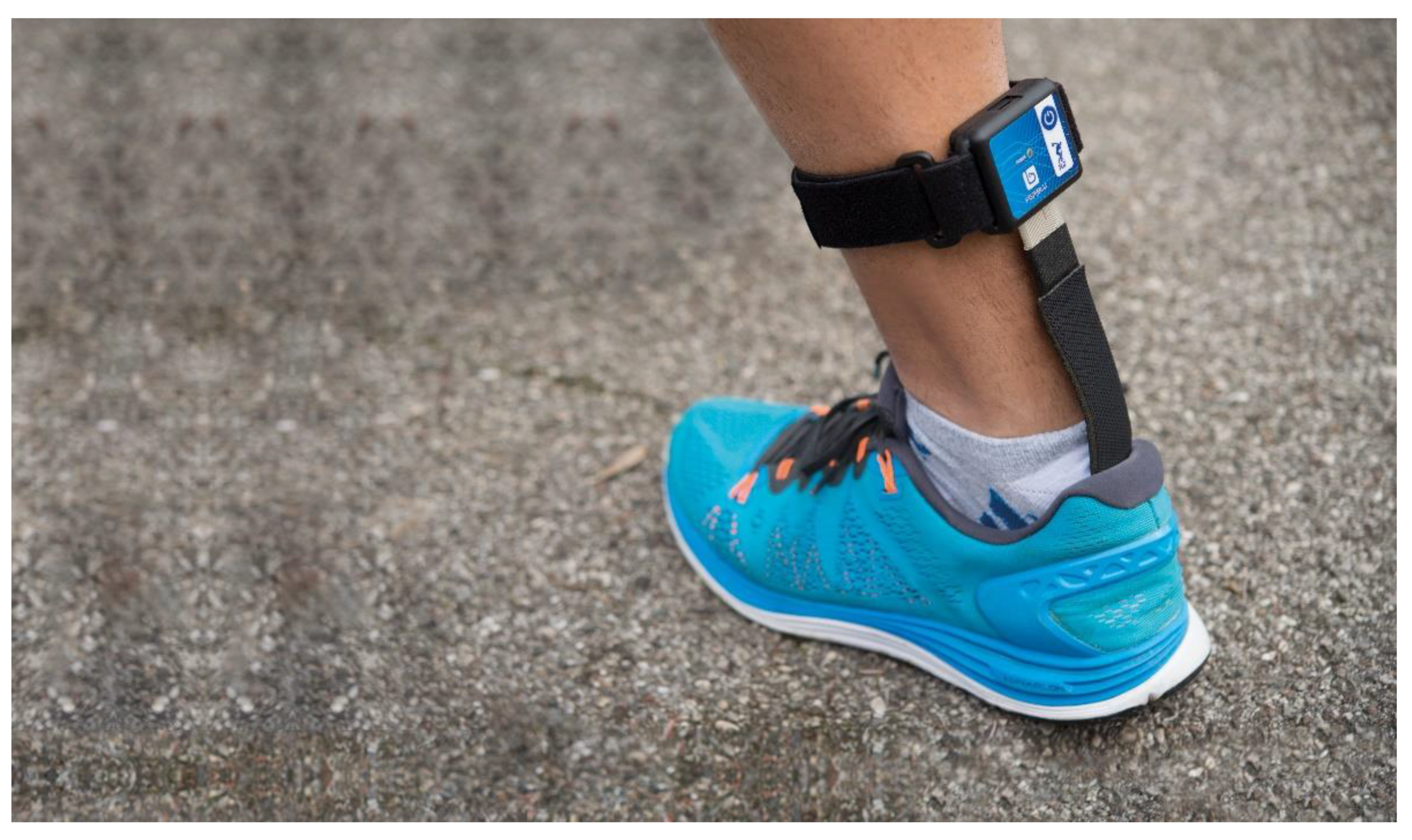 Applsci 12 02456 g002