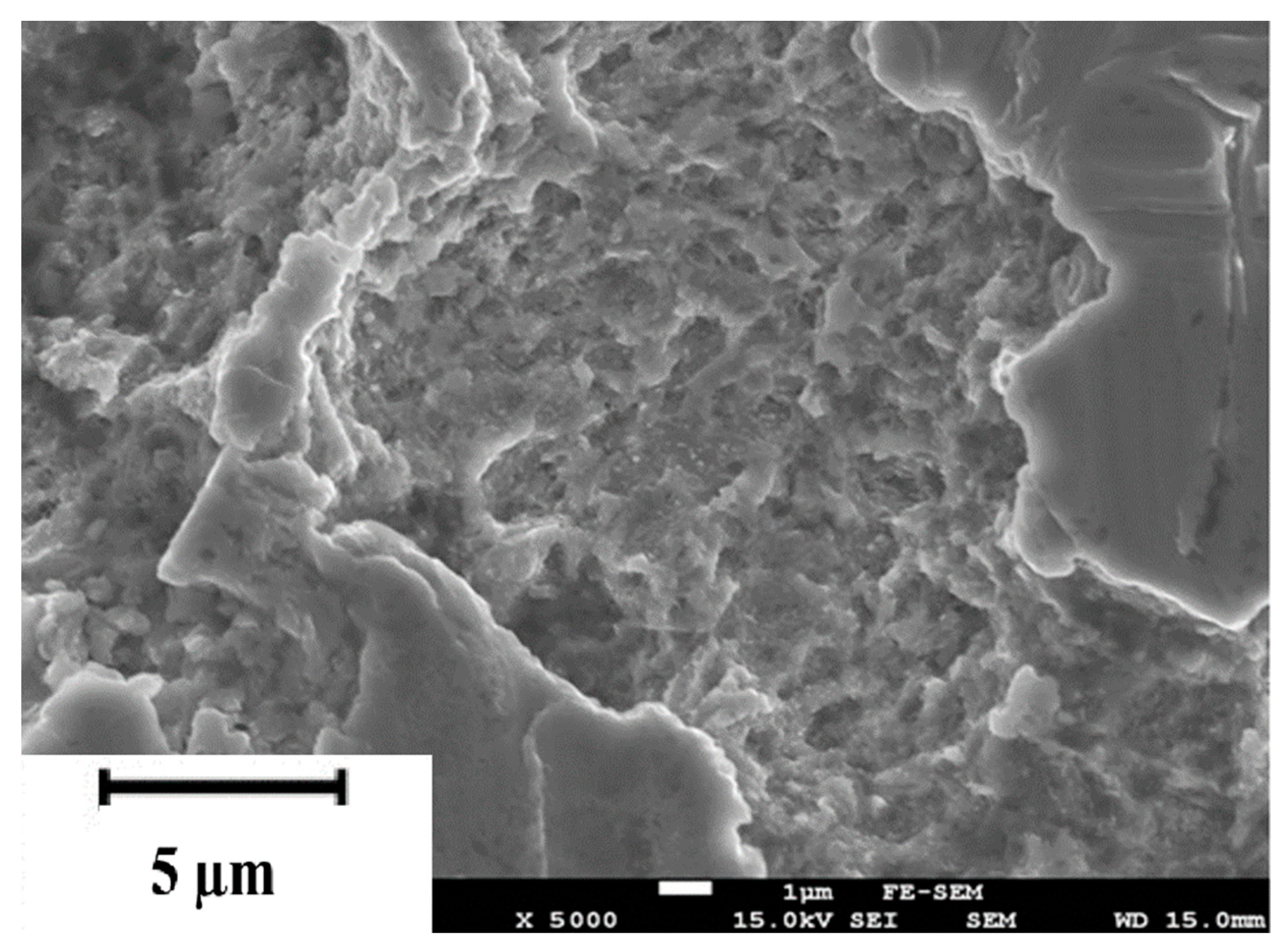 Applsci 12 02458 g002