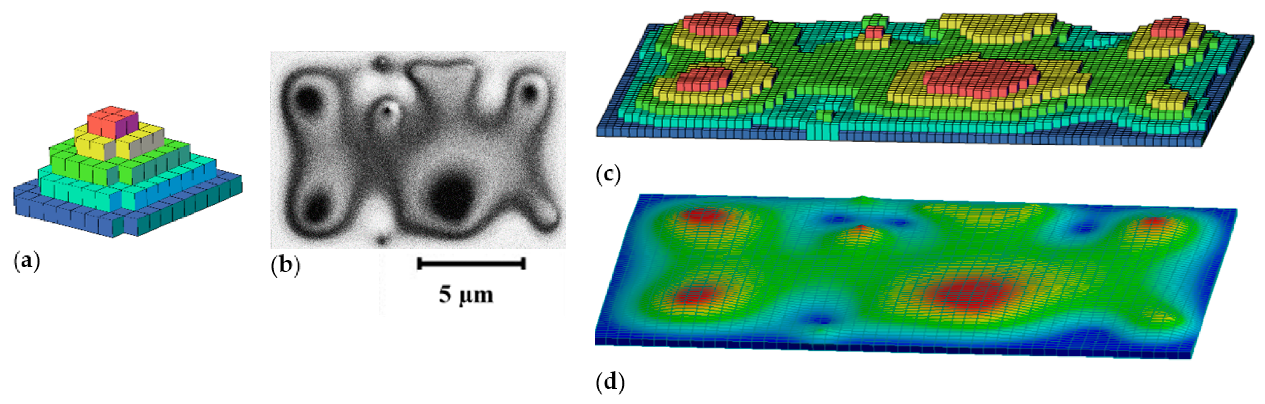 Applsci 12 02458 g005