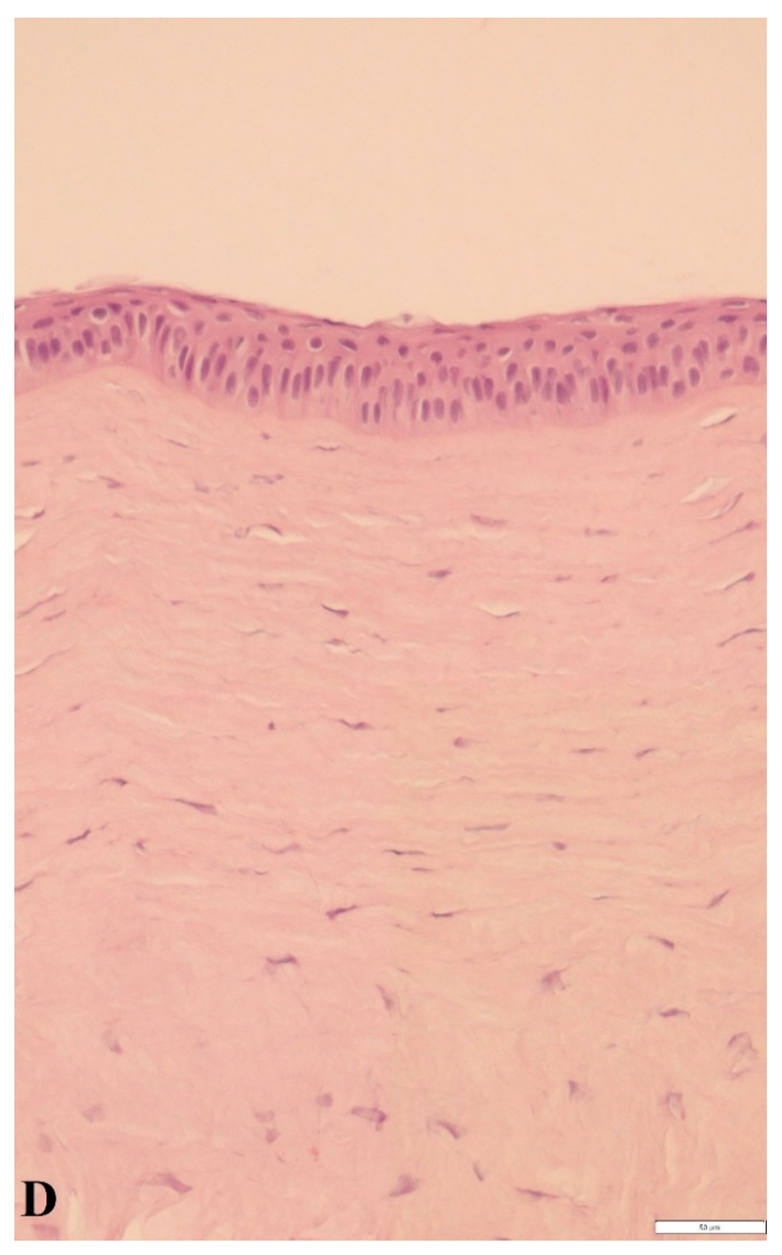 Applsci 12 02468 g004d