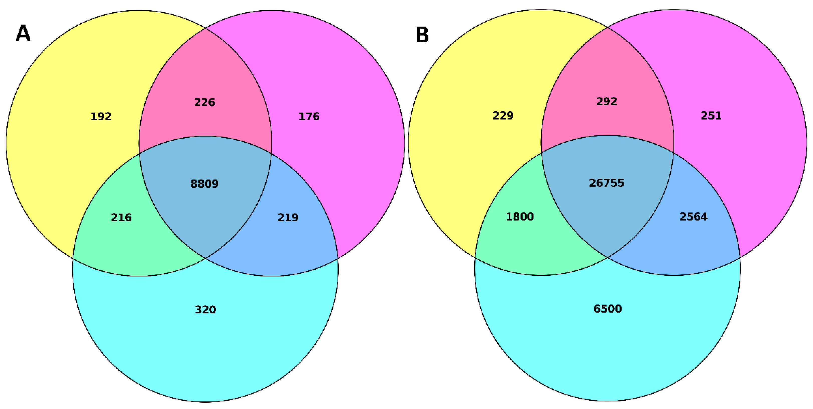 Applsci 12 02506 g001
