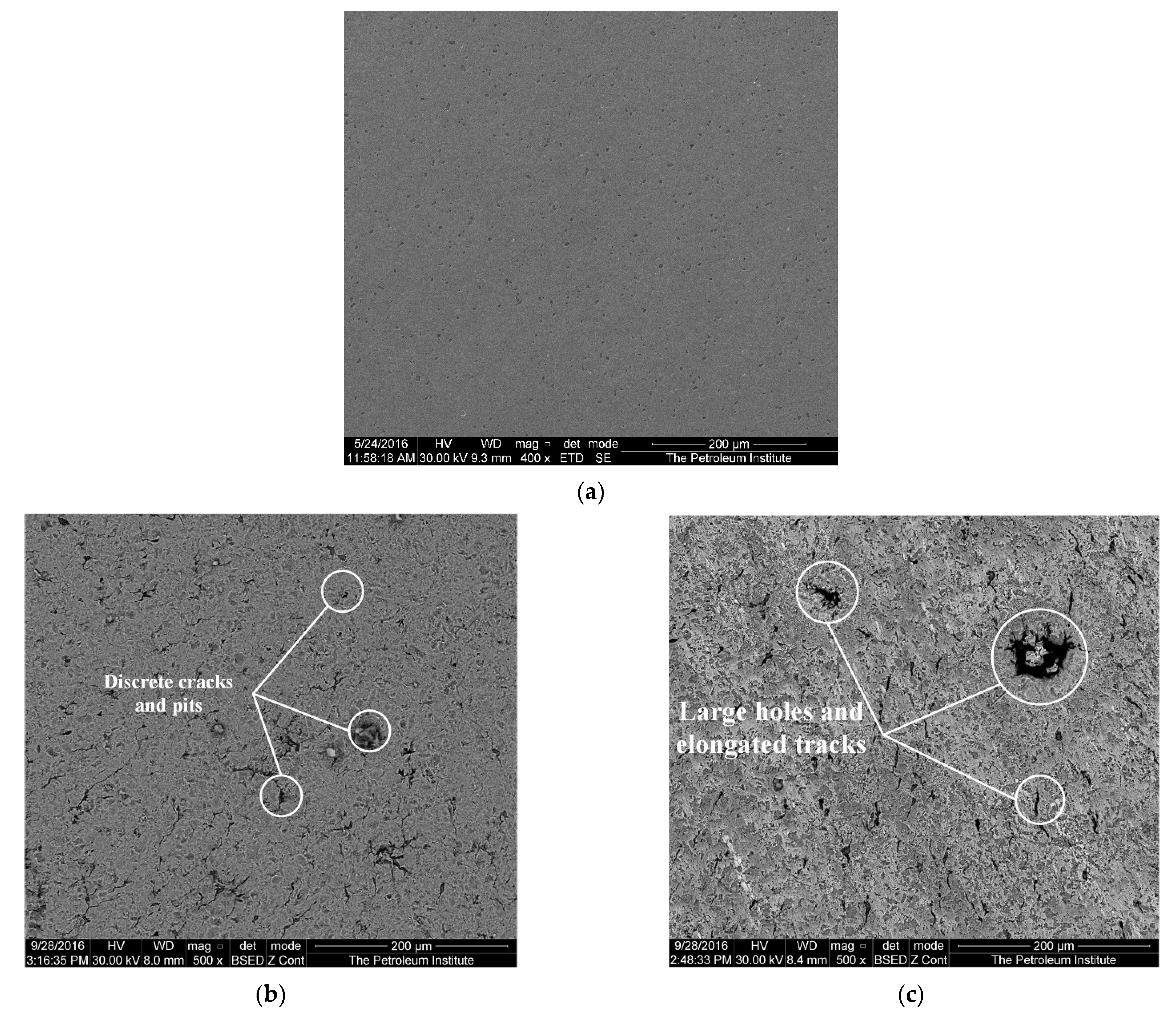 Applsci 12 02530 g005