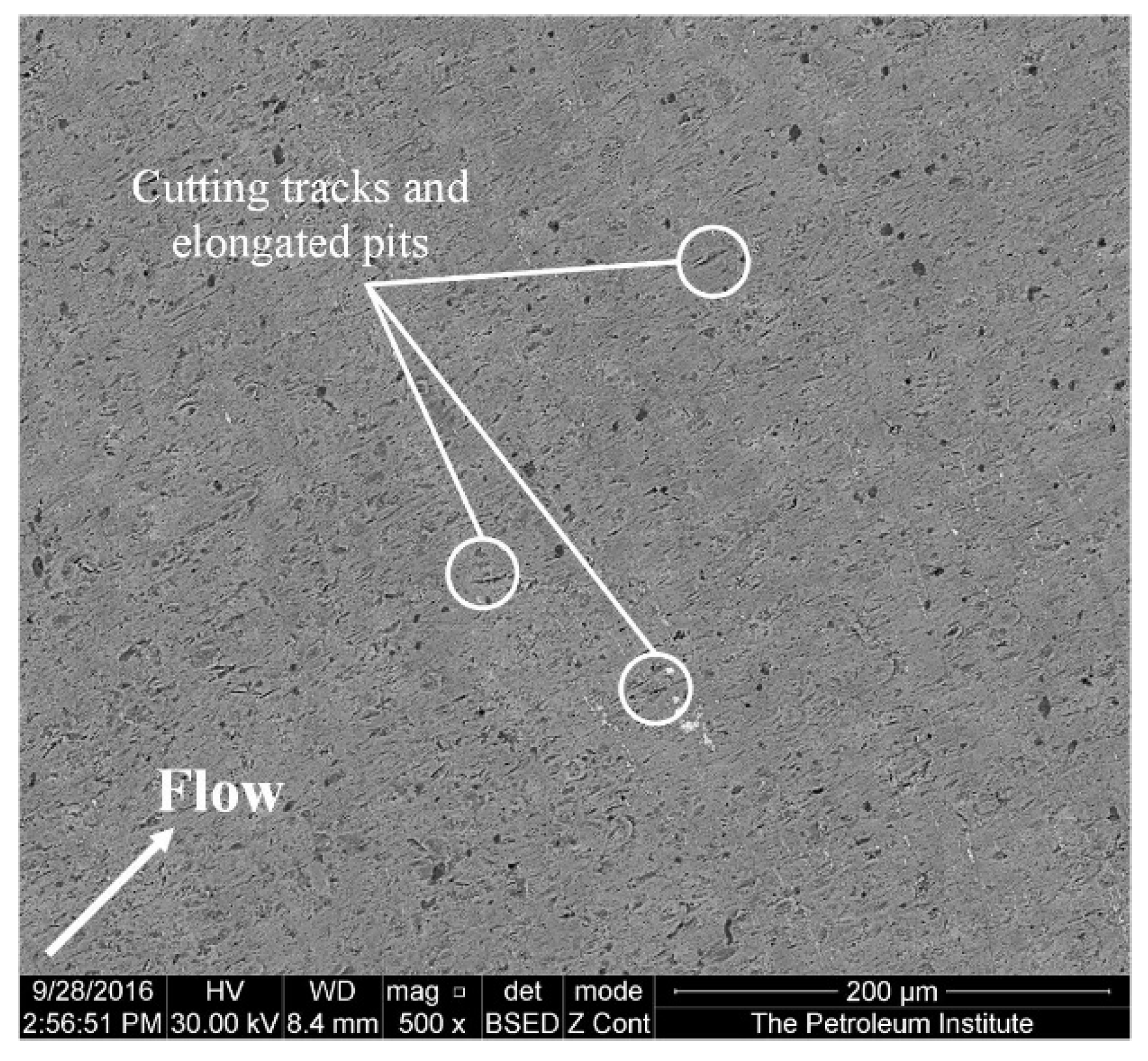 Applsci 12 02530 g007