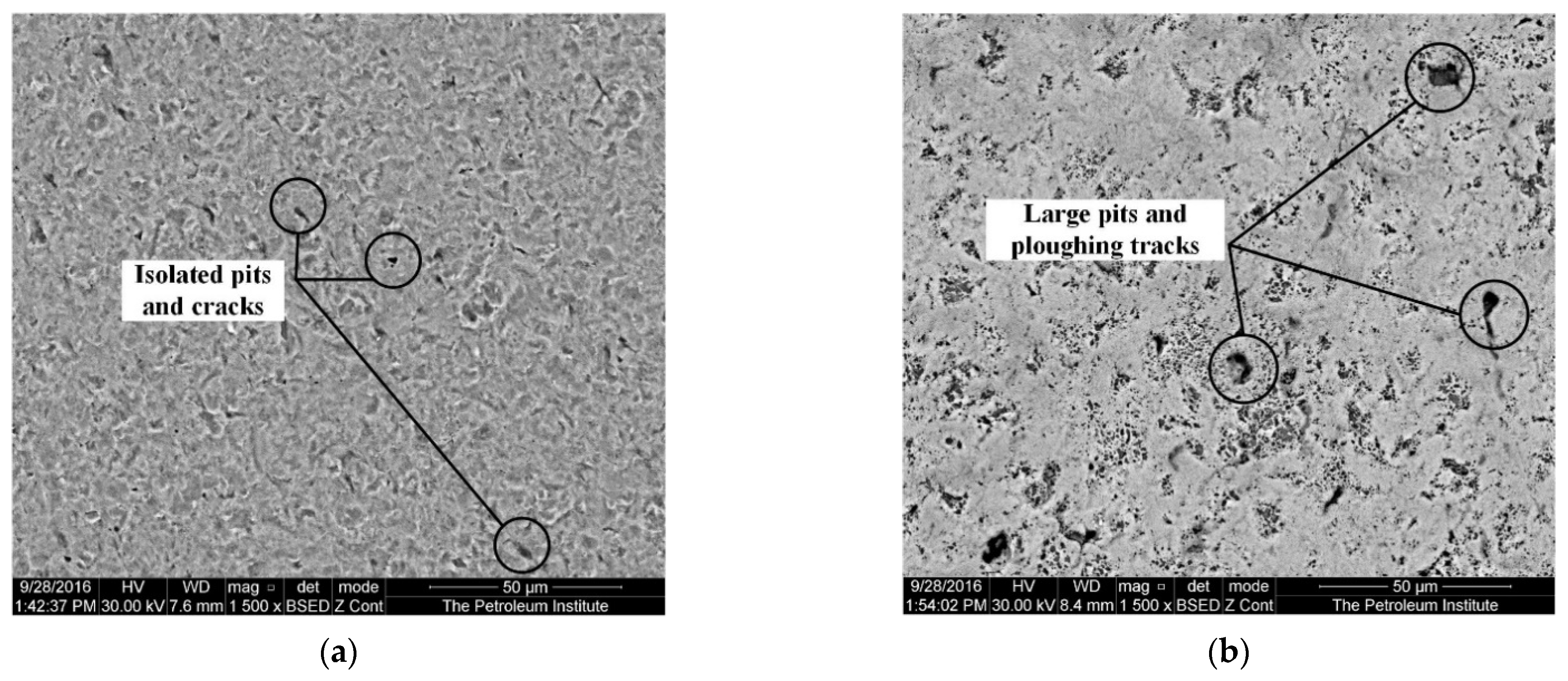 Applsci 12 02530 g011