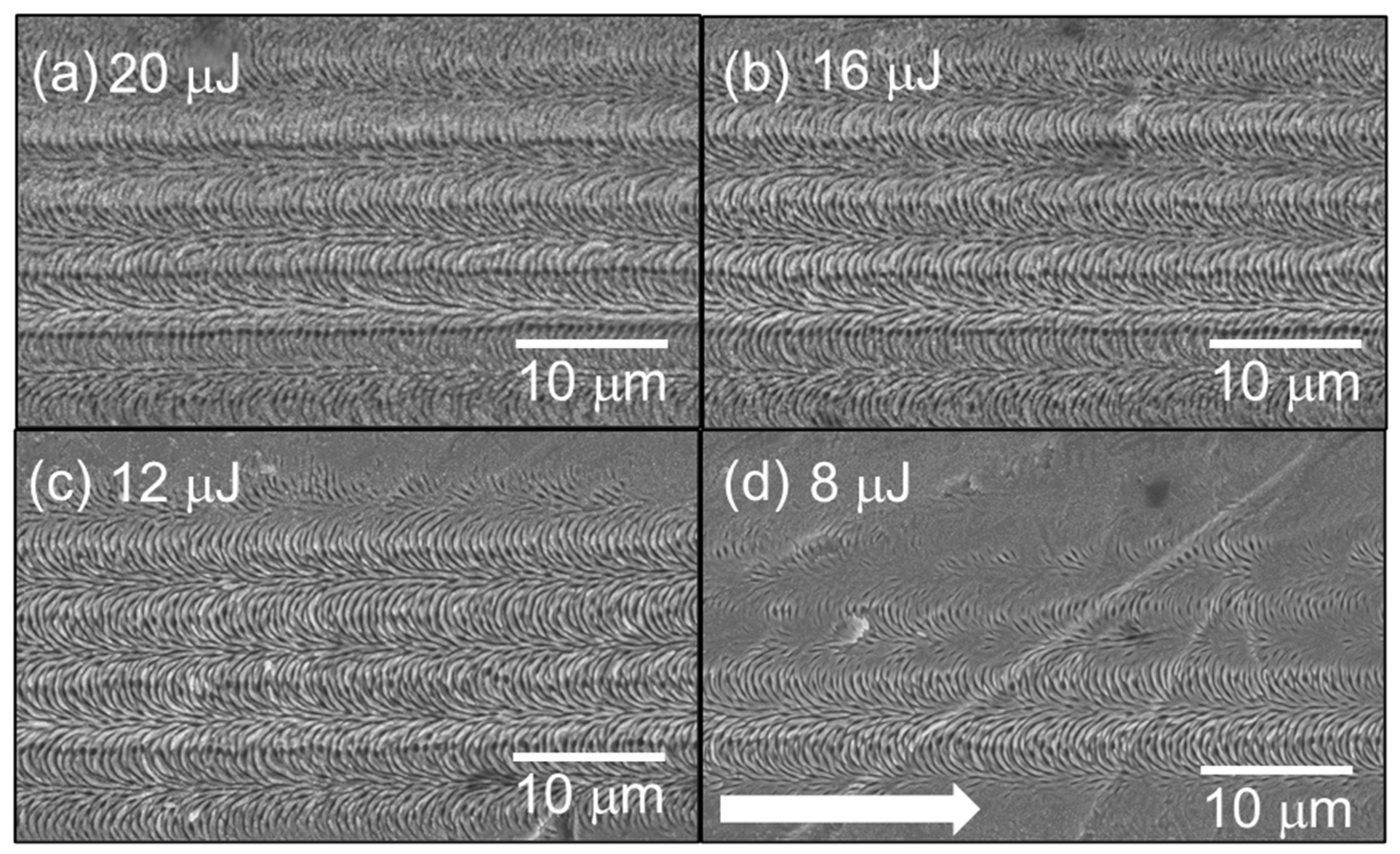 Applsci 12 02543 g006