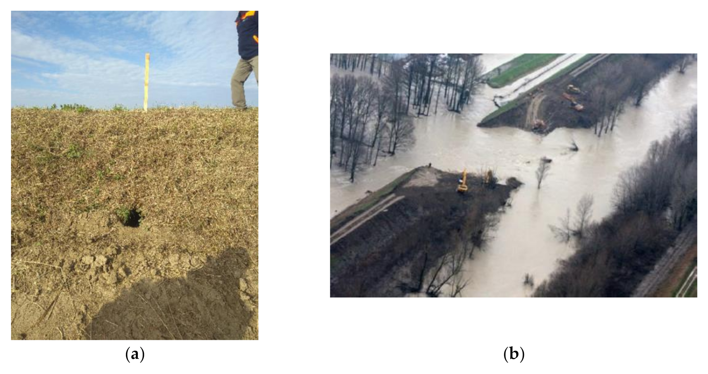 Applsci 12 02548 g001