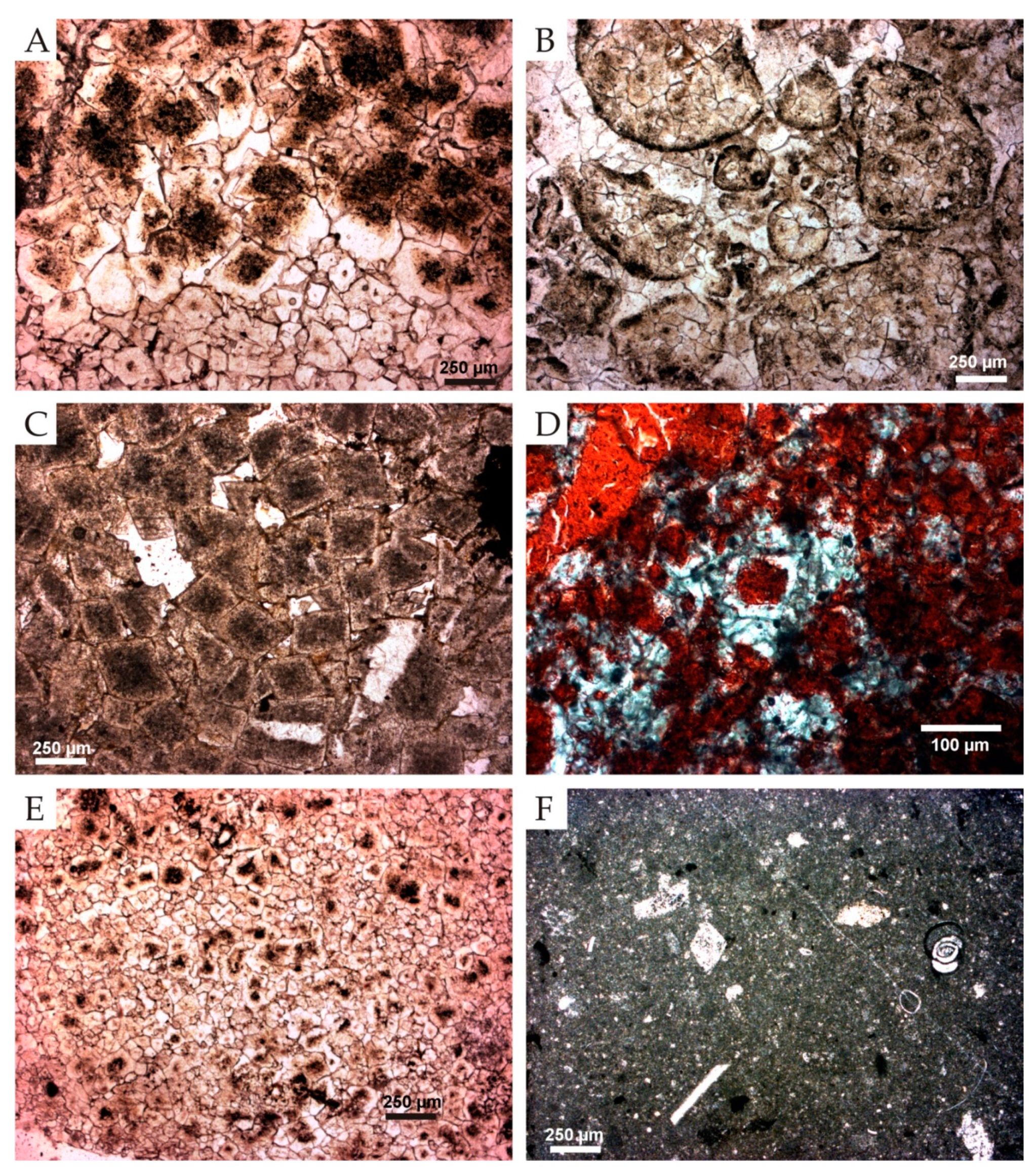 Applsci 12 02566 g004