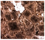 Applsci 12 02566 i008 Applsci 12 02566 i008