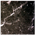 Applsci 12 02566 i010 Applsci 12 02566 i010