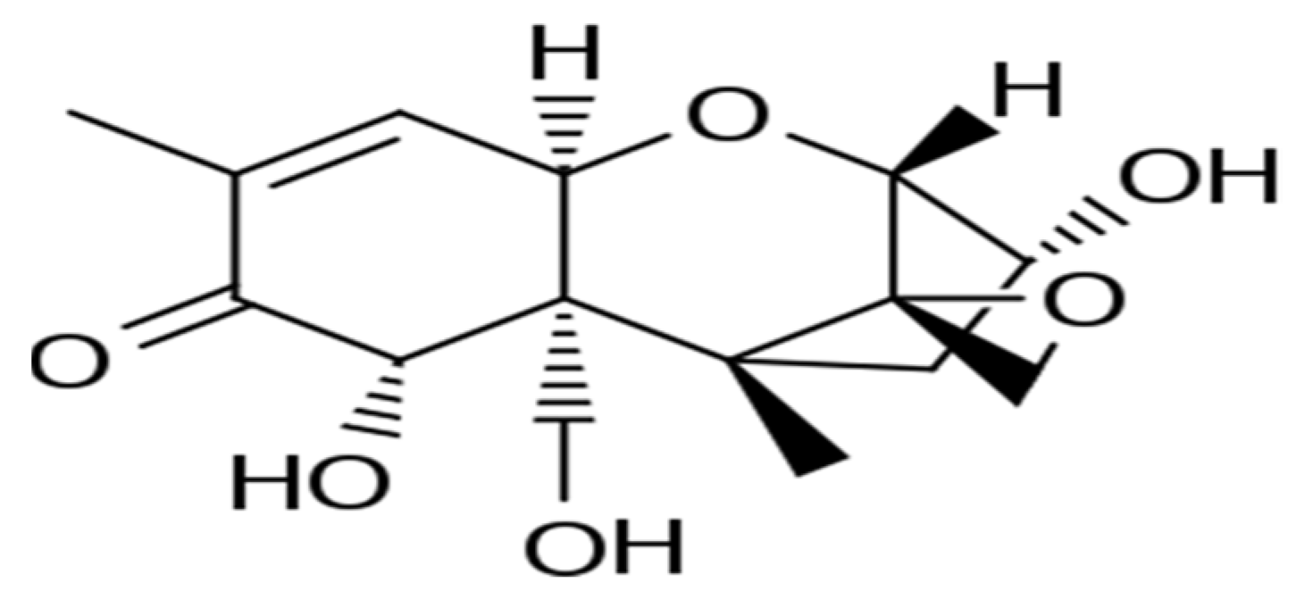 Applsci 12 02579 g001