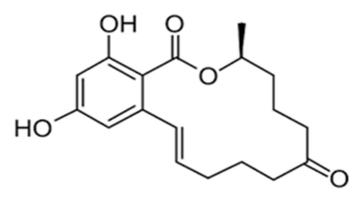 Applsci 12 02579 g004