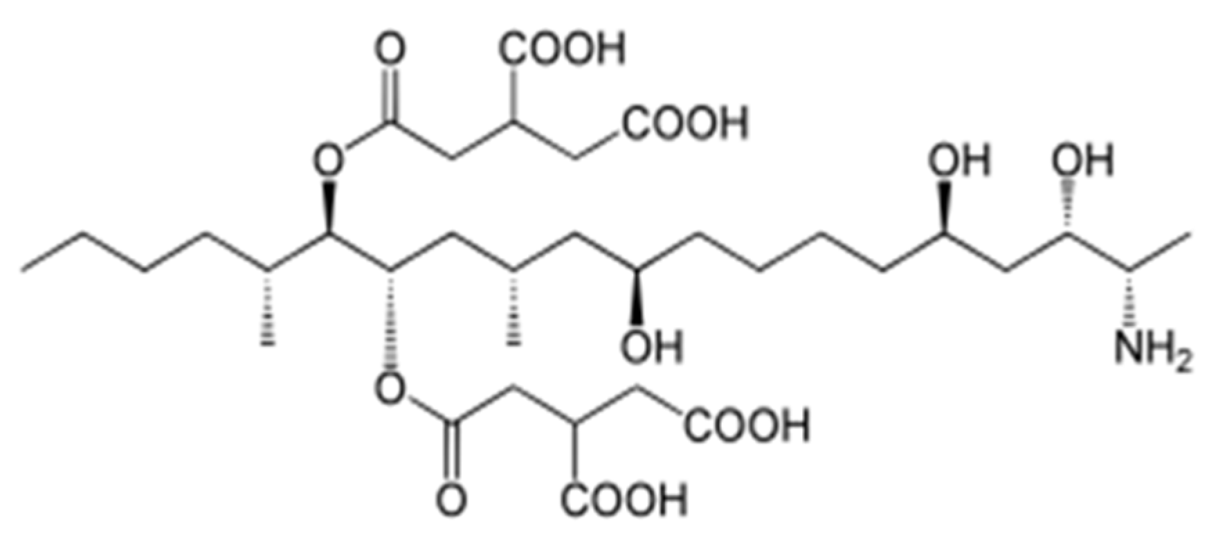 Applsci 12 02579 g007