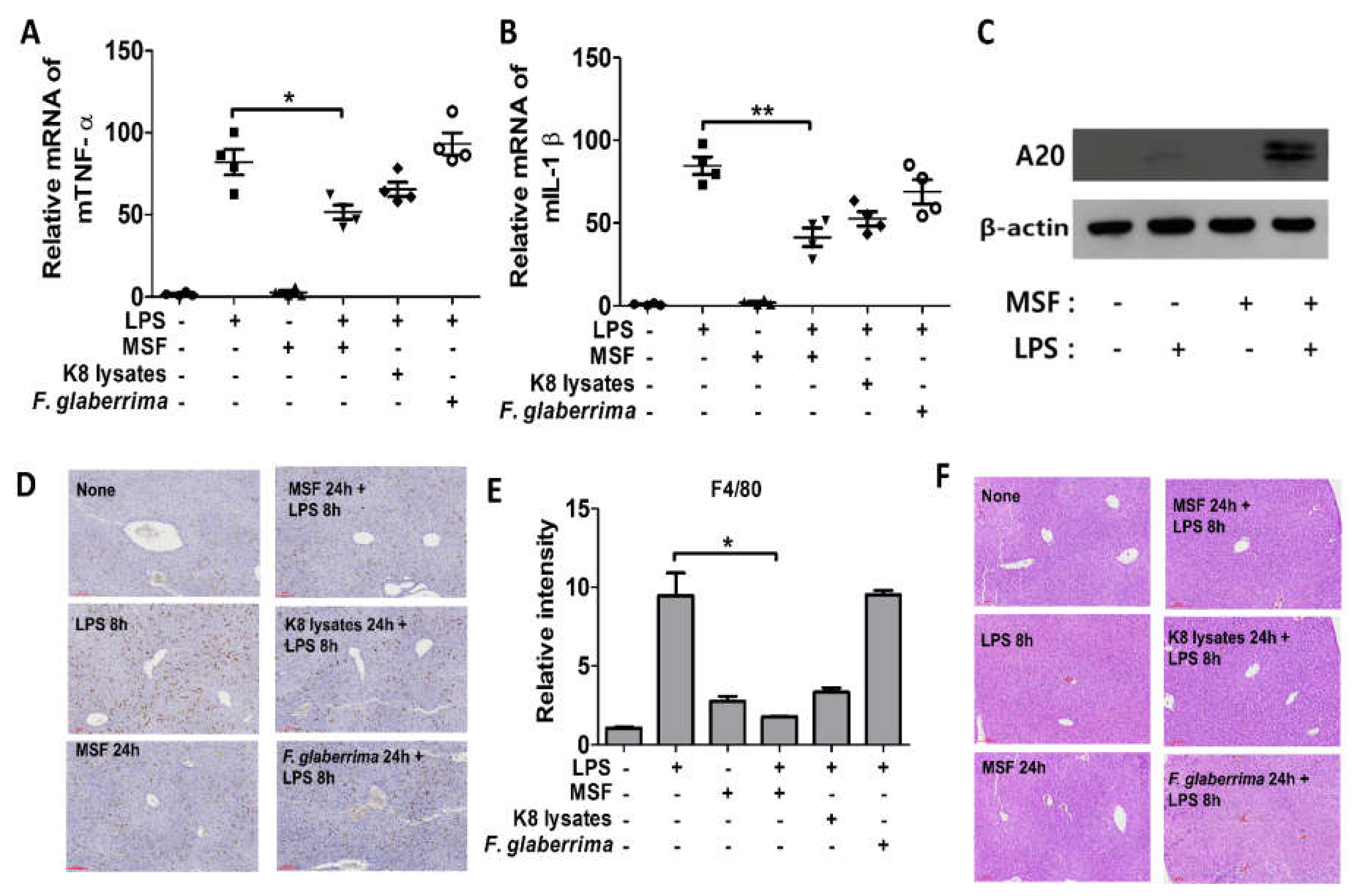 Applsci 12 02602 g008
